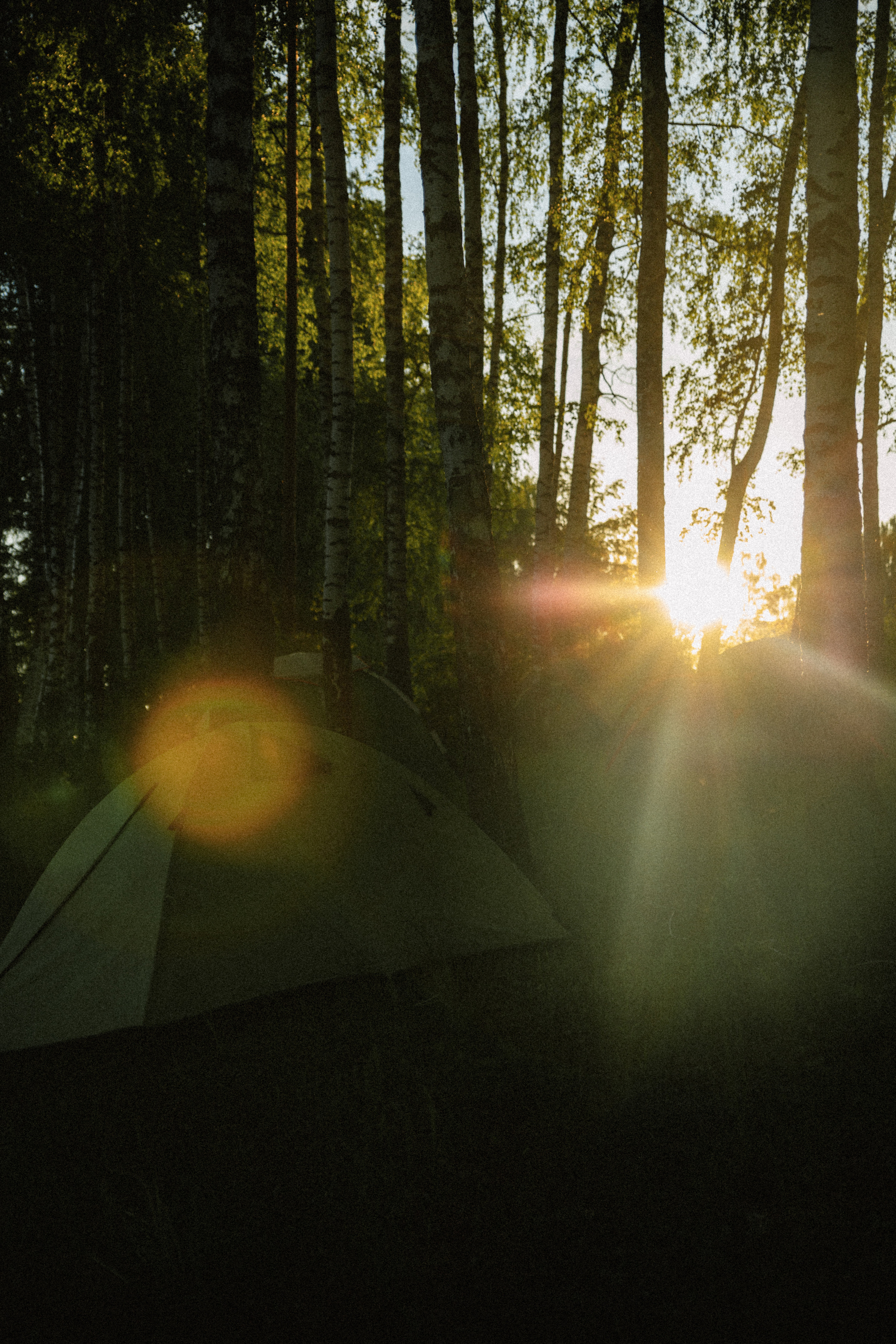 Открытки. Портретный фотограф Москва и Московская область
