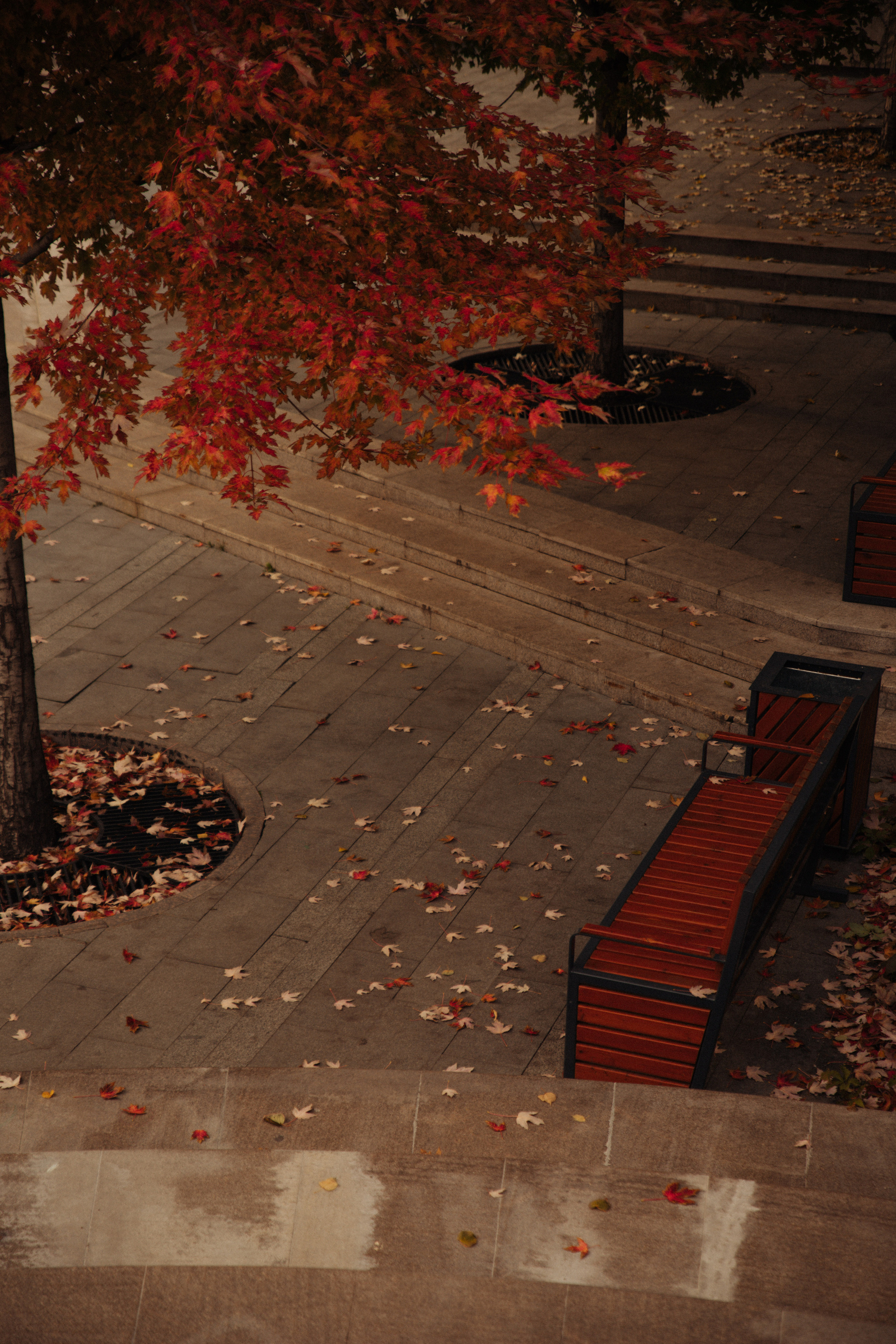 Открытки. Портретный фотограф Москва и Московская область