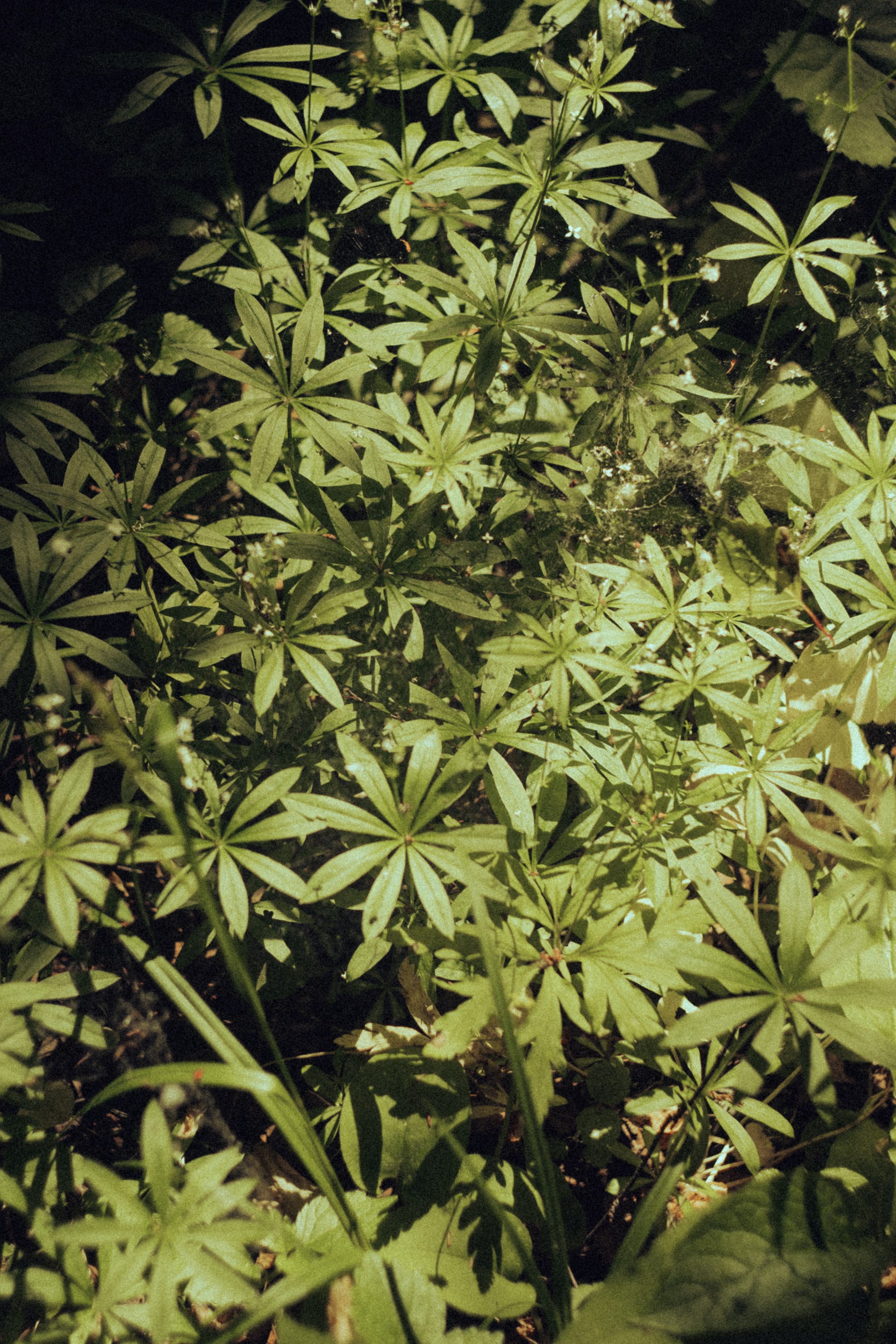 Открытки. Портретный фотограф Москва и Московская область