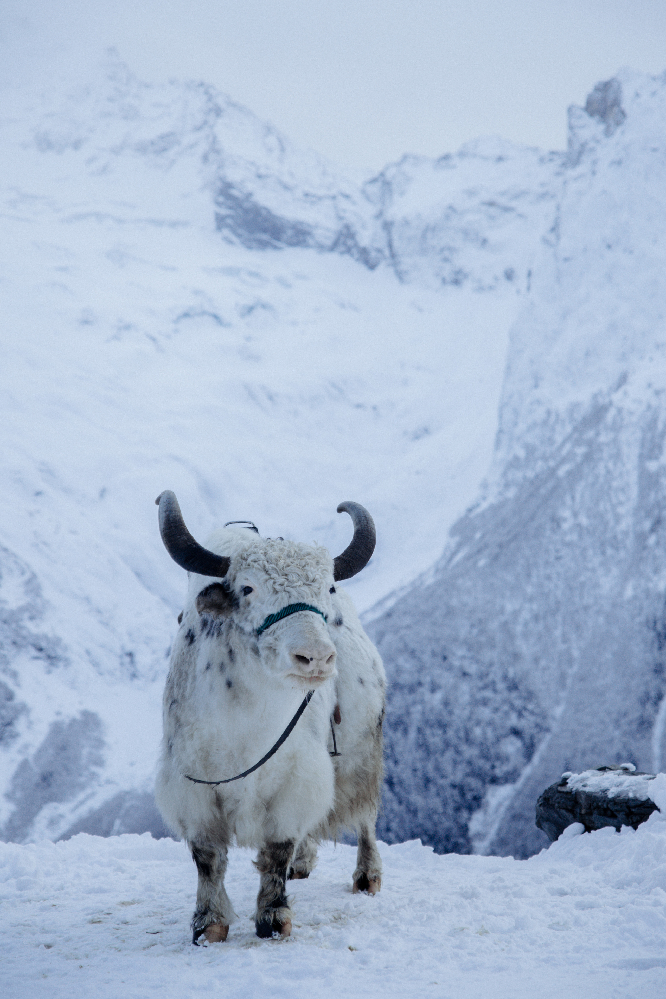 Открытки. Портретный фотограф Москва и Московская область