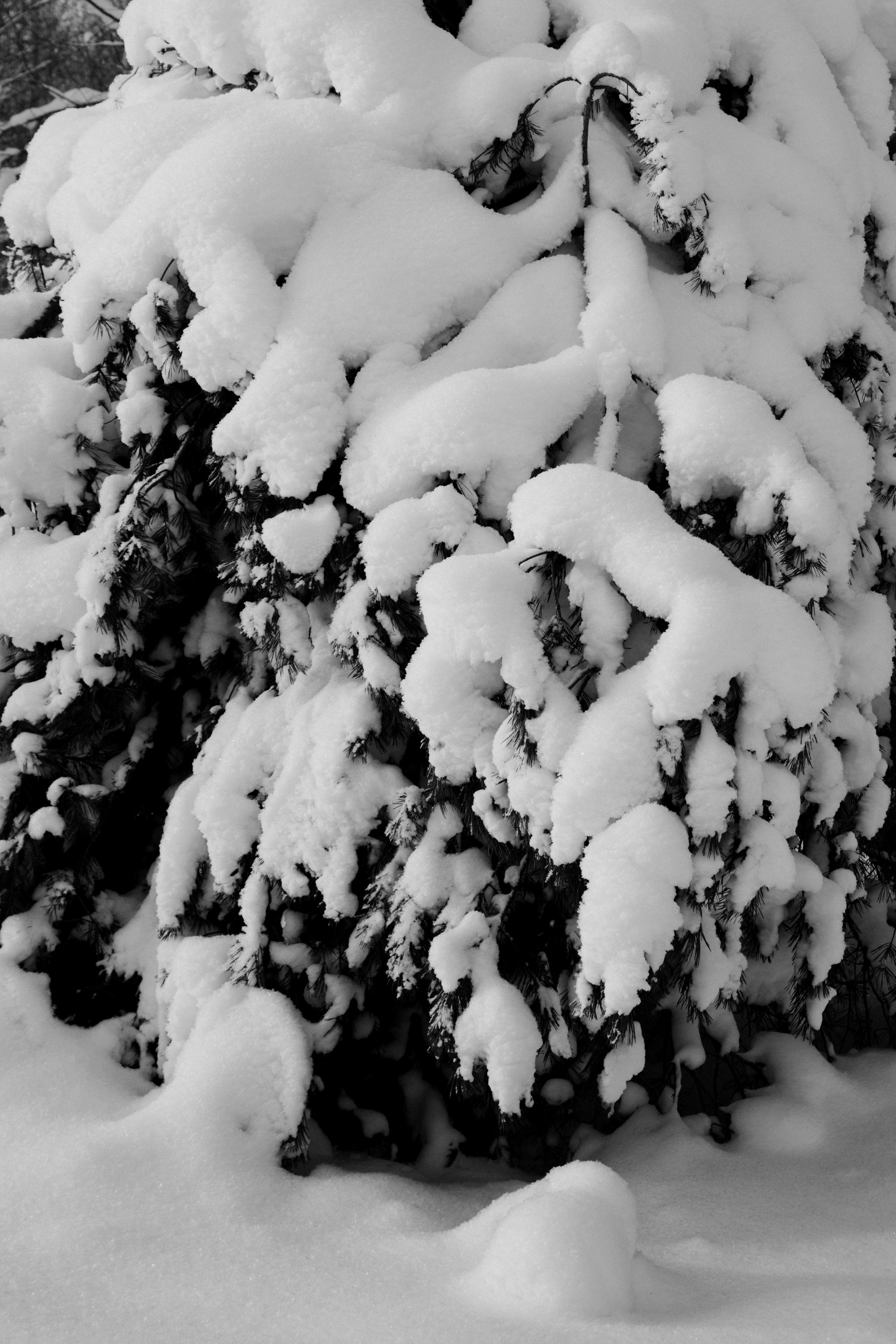 Открытки. Портретный фотограф Москва и Московская область