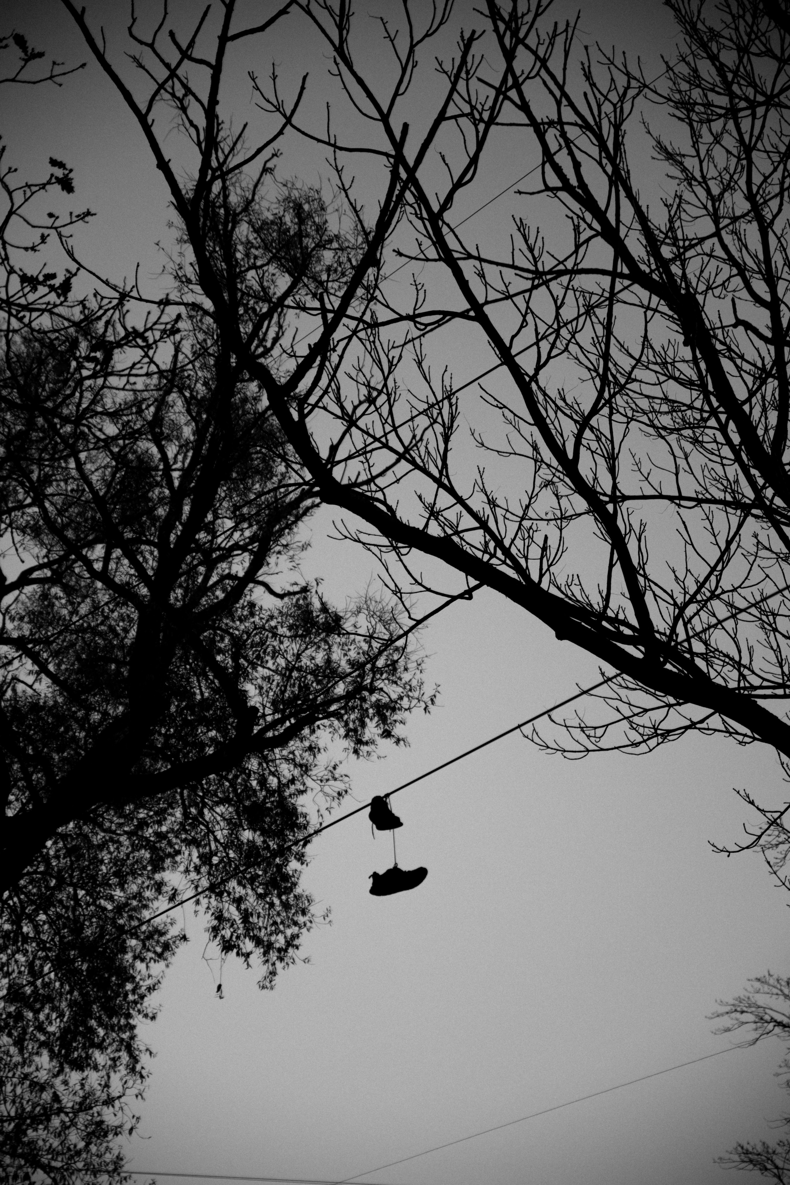 Открытки. Портретный фотограф Москва и Московская область