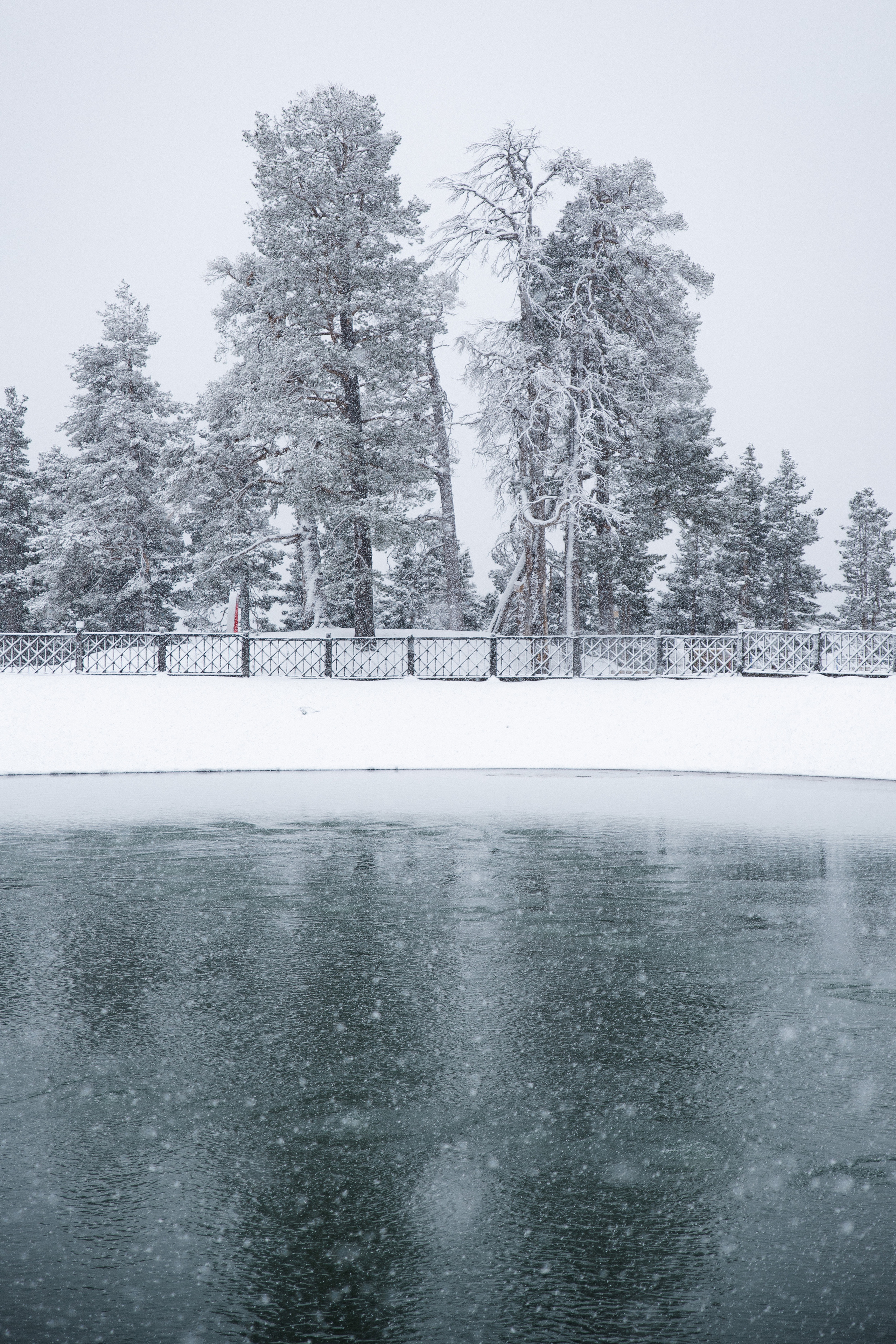 Открытки. Портретный фотограф Москва и Московская область