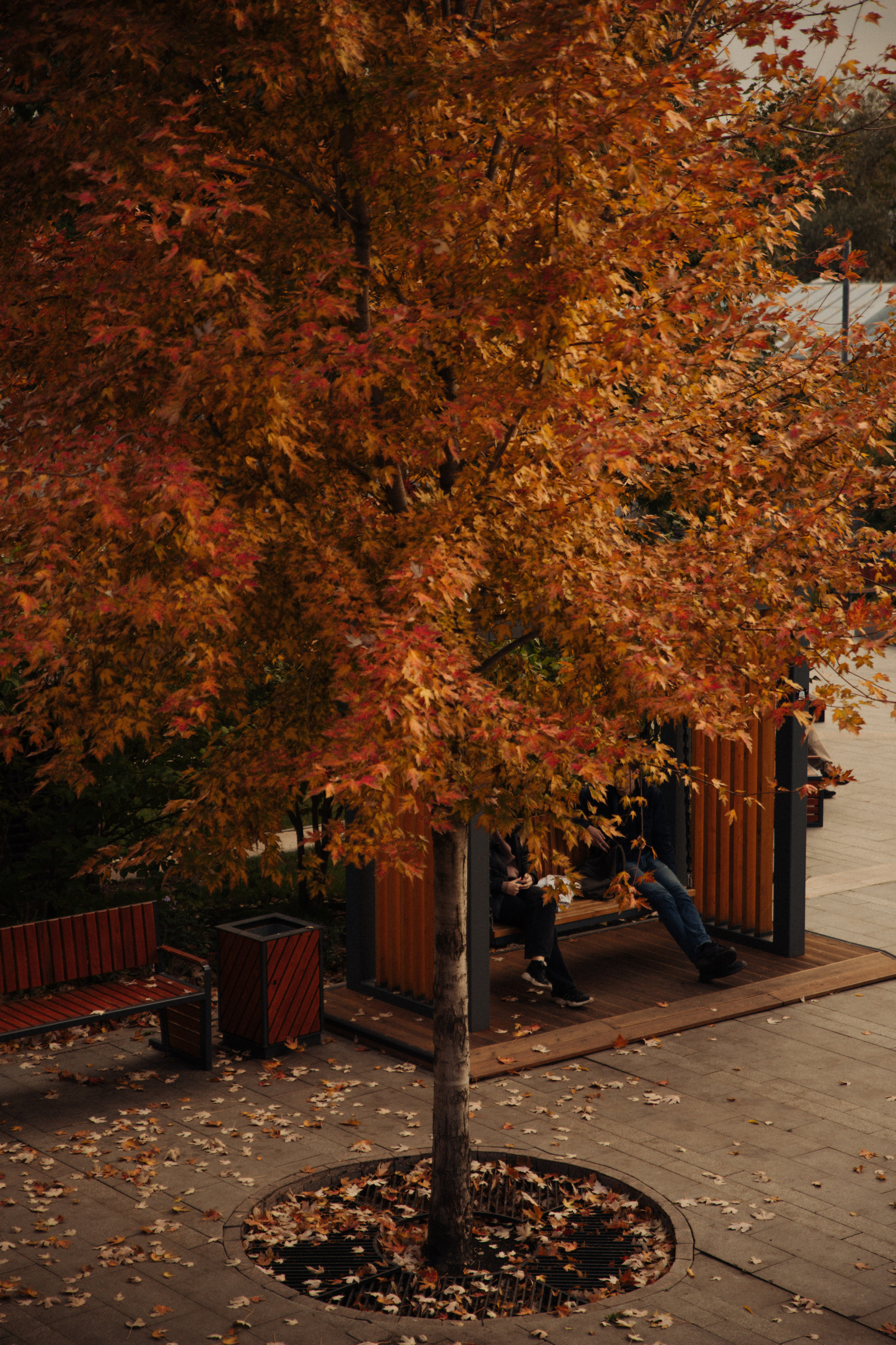 Открытки. Портретный фотограф Москва и Московская область