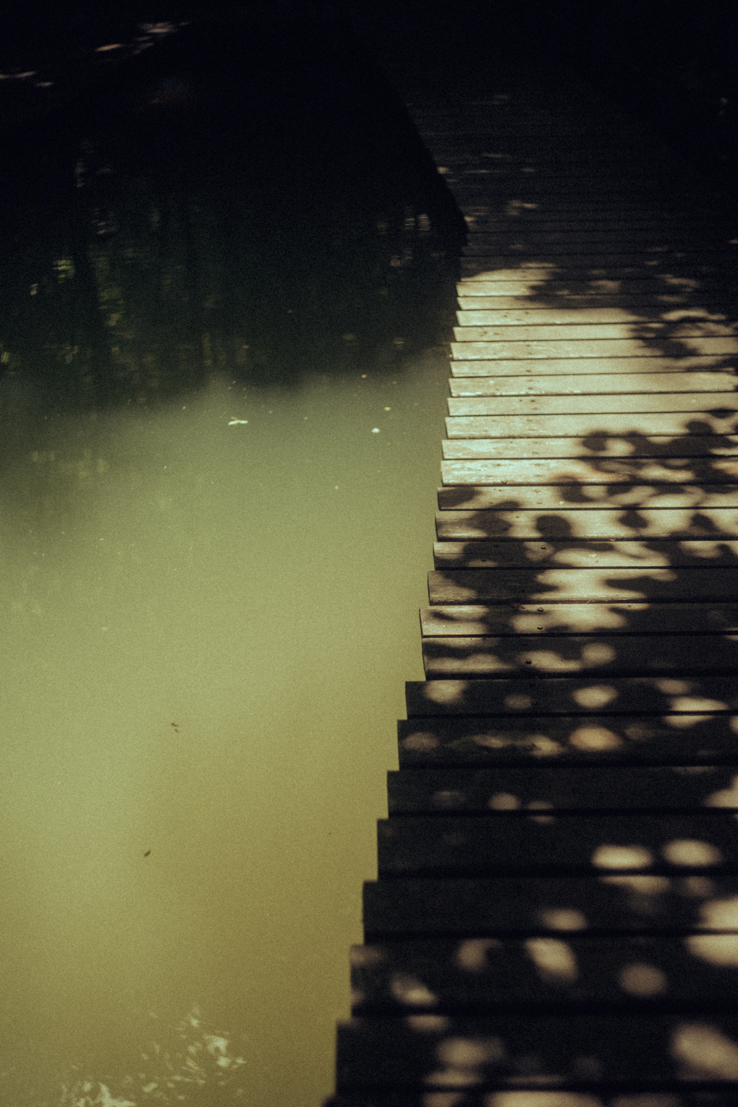 Открытки. Портретный фотограф Москва и Московская область