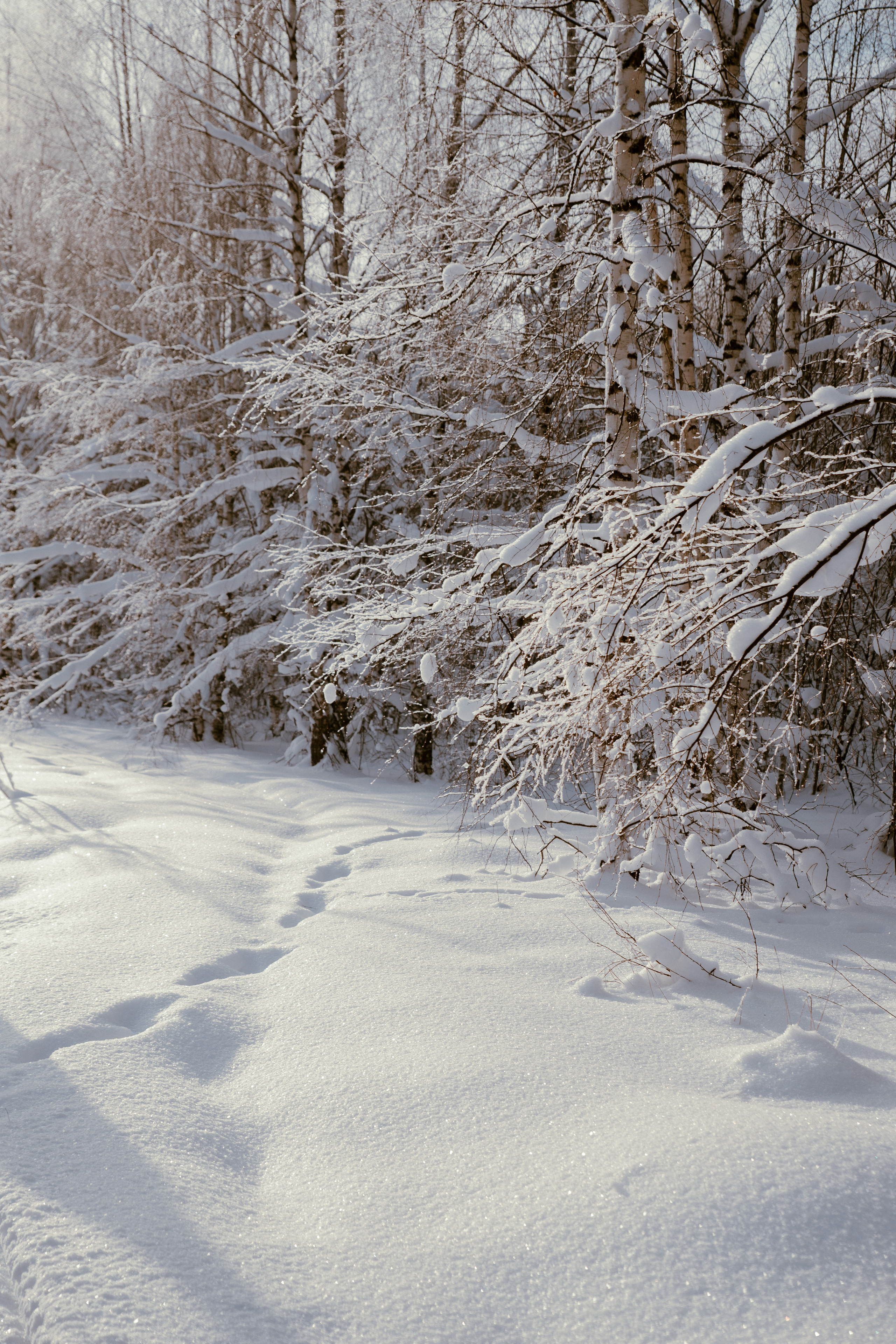 Открытки. Портретный фотограф Москва и Московская область