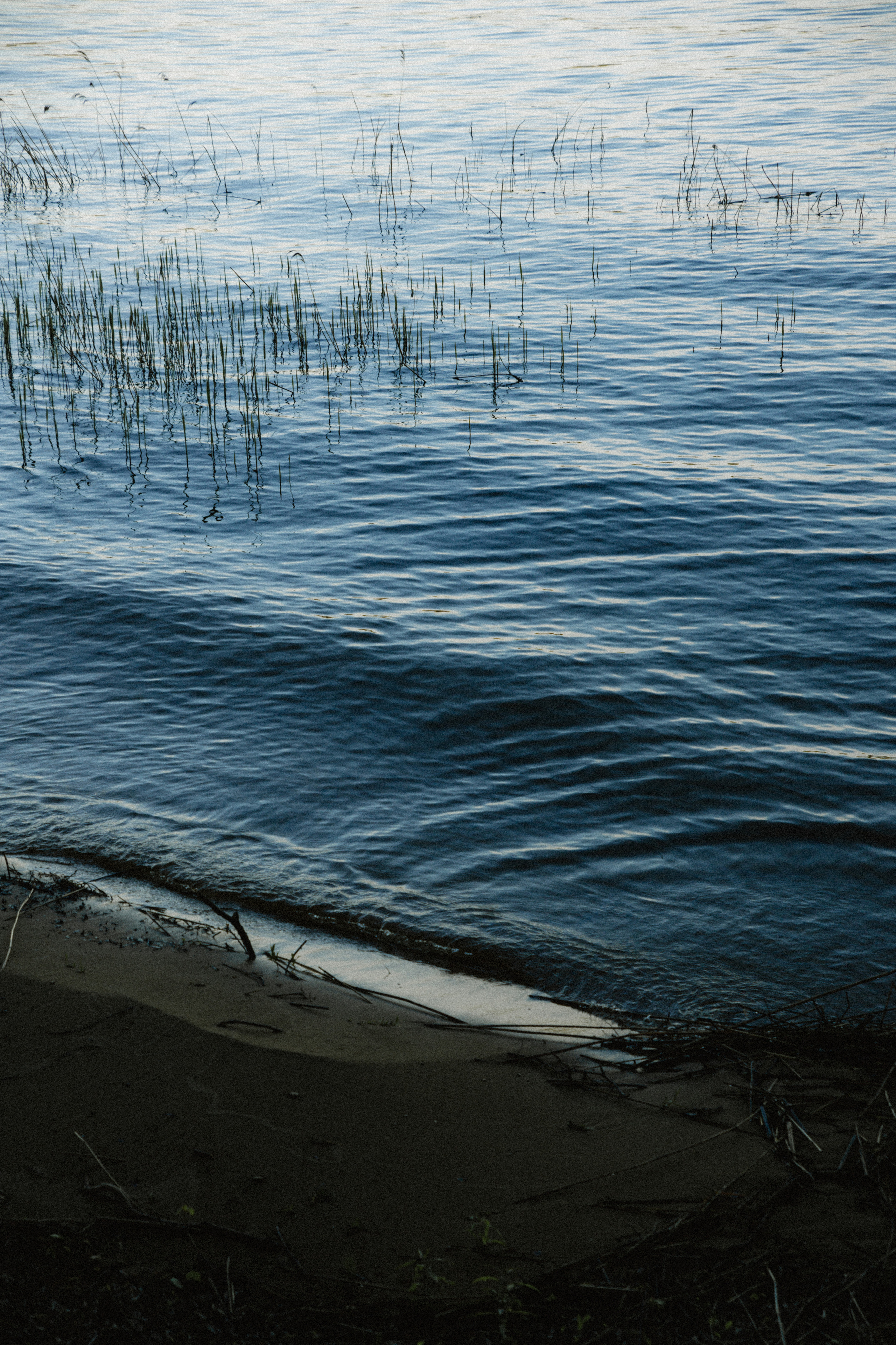 Открытки. Портретный фотограф Москва и Московская область