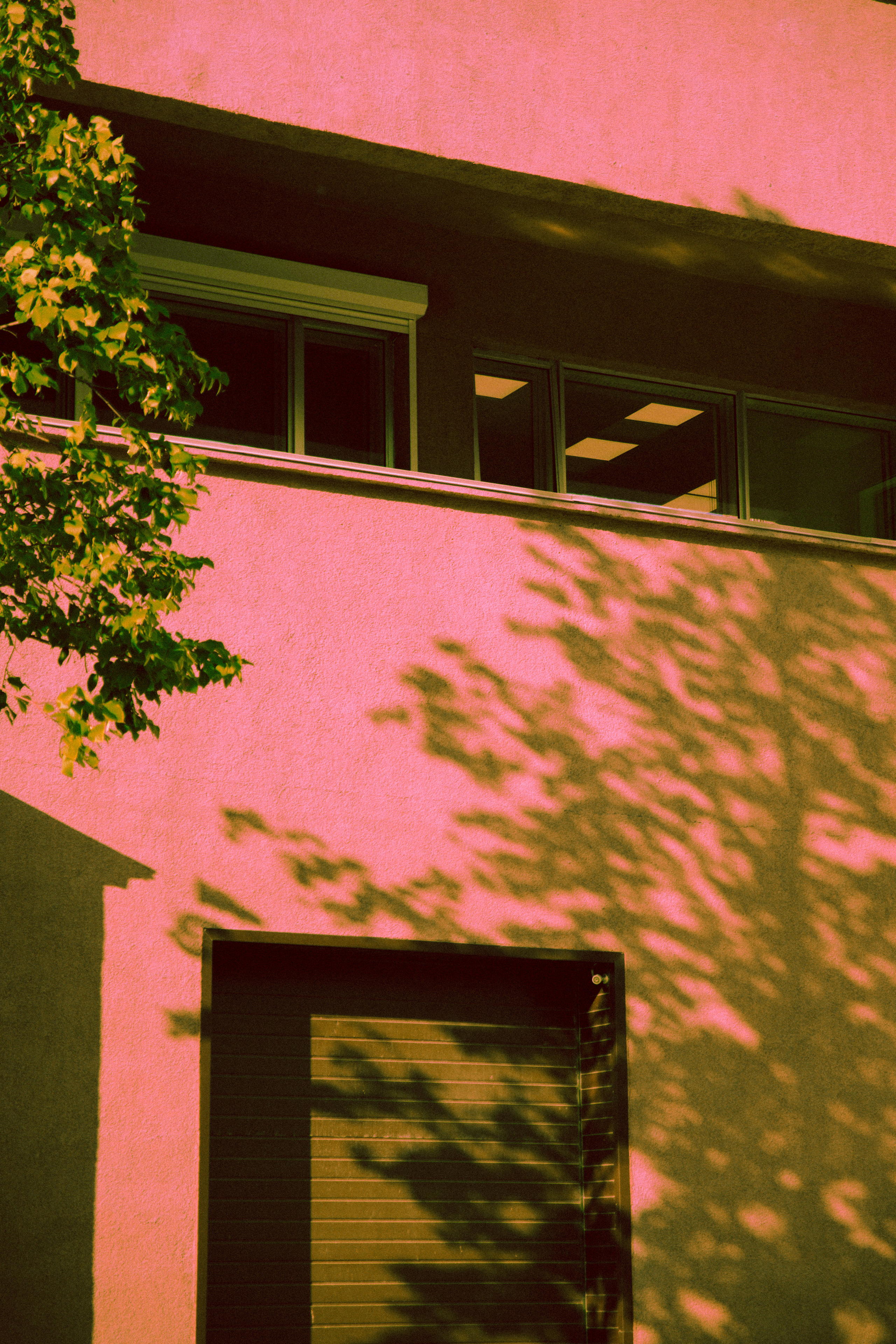 Открытки. Портретный фотограф Москва и Московская область