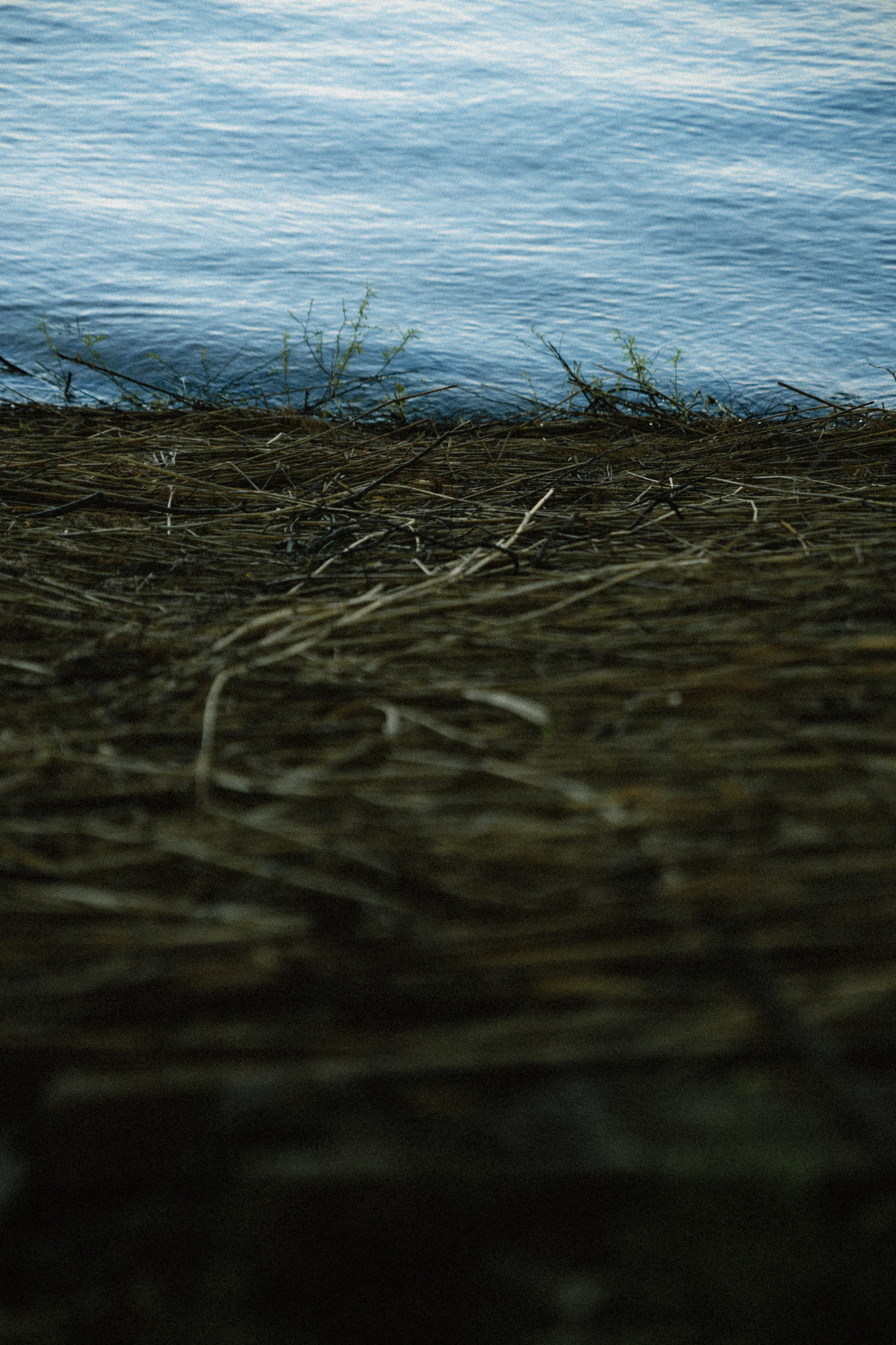 Открытки. Портретный фотограф Москва и Московская область