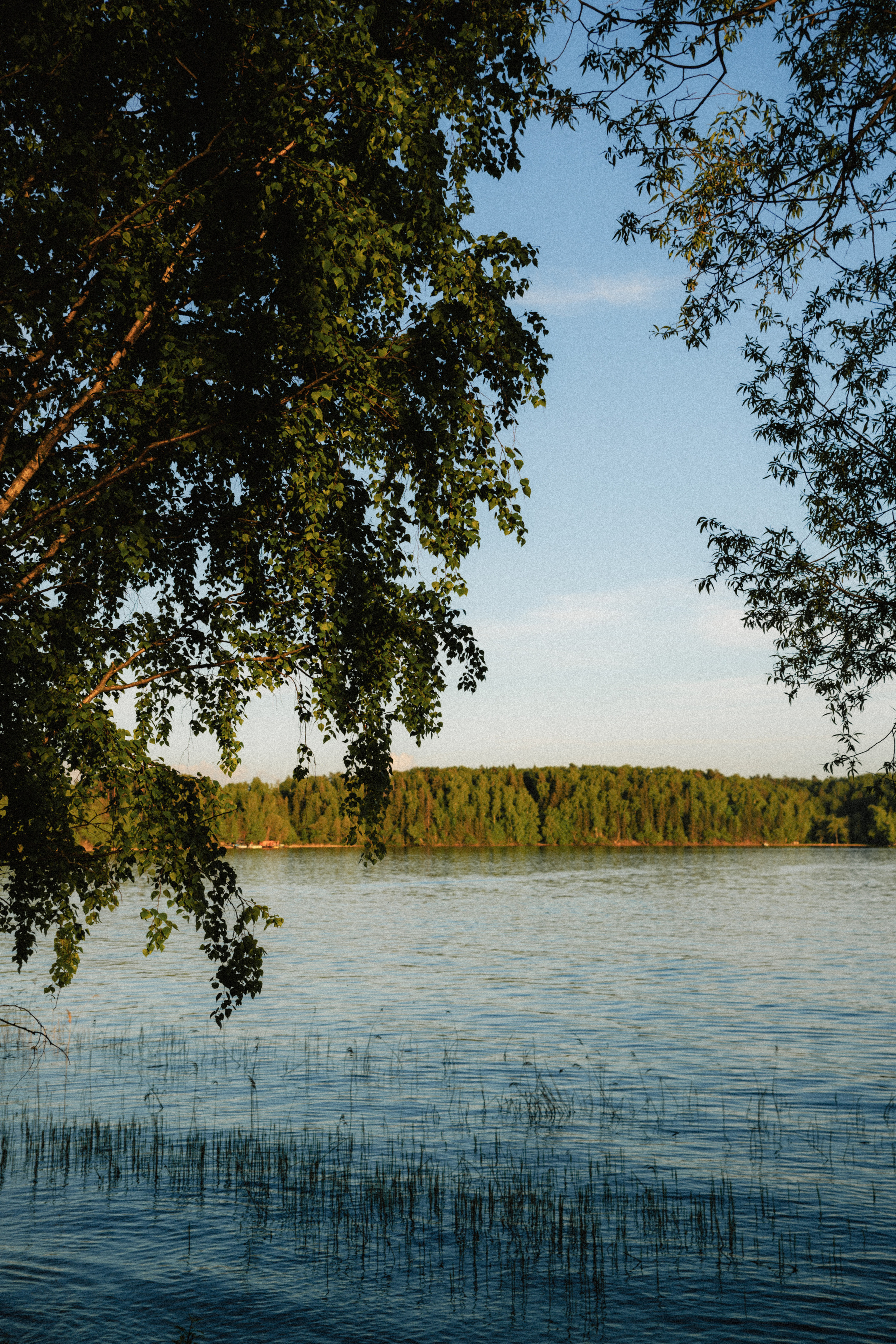 Открытки. Портретный фотограф Москва и Московская область