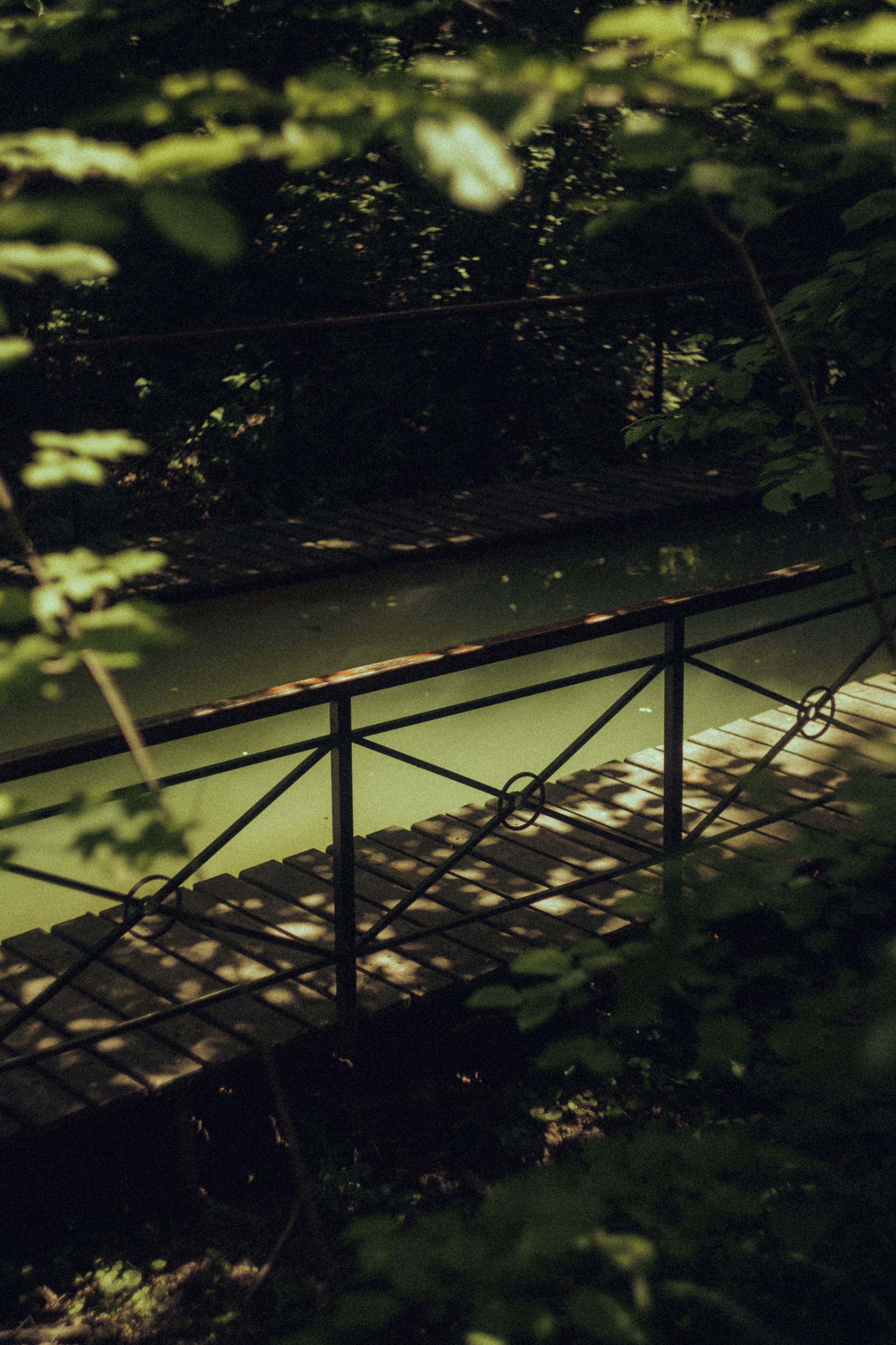 Открытки. Портретный фотограф Москва и Московская область