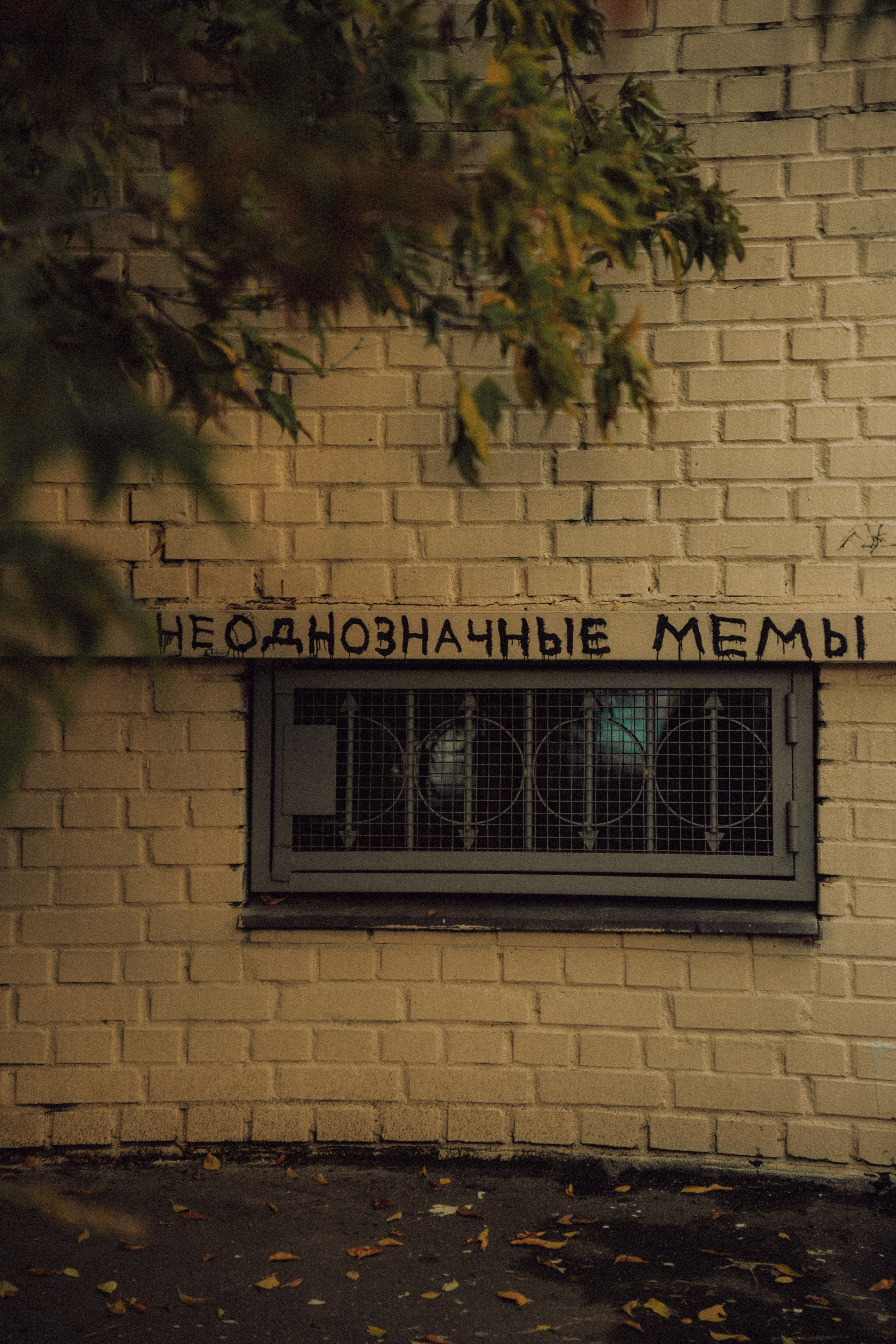 Открытки. Портретный фотограф Москва и Московская область