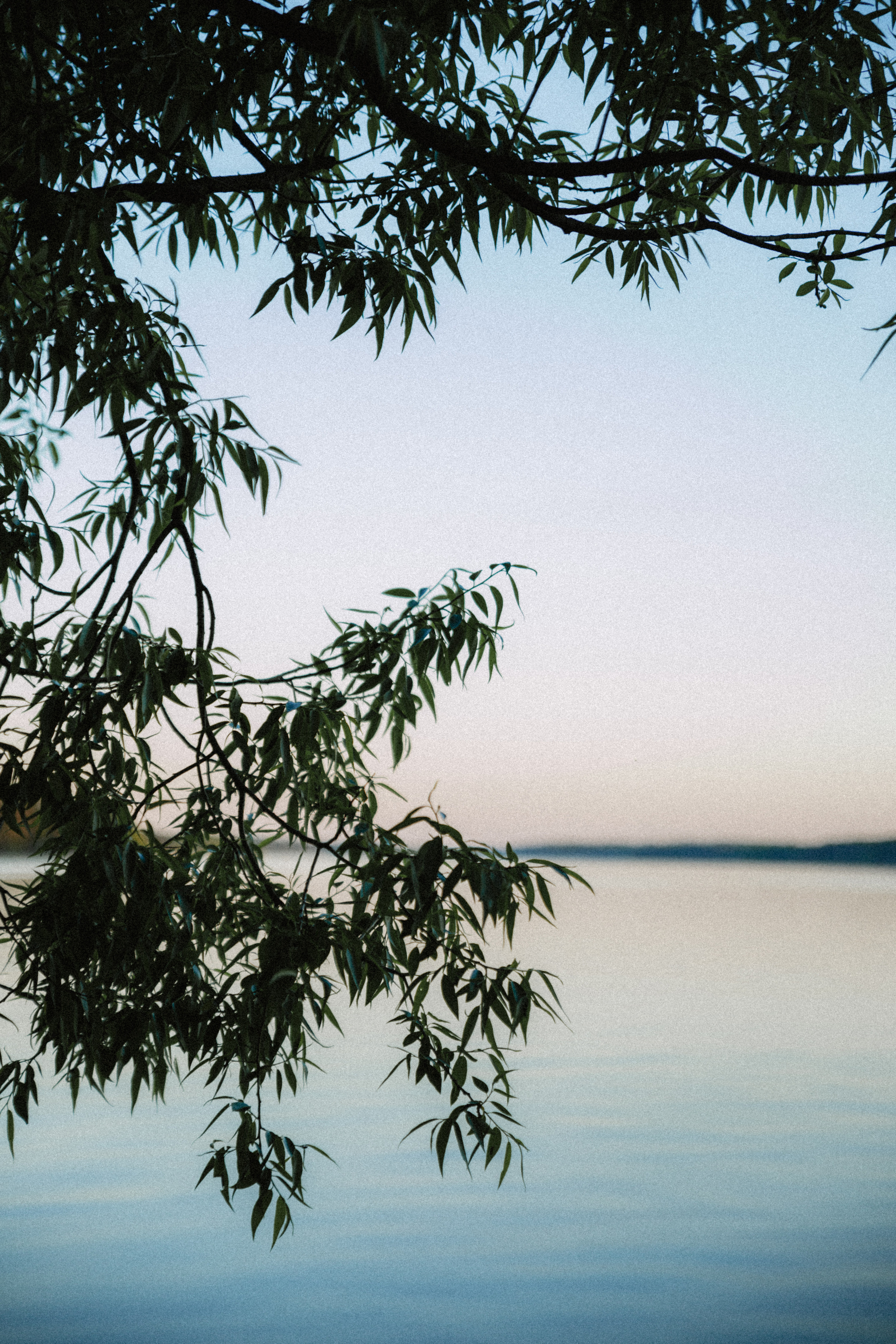 Открытки. Портретный фотограф Москва и Московская область