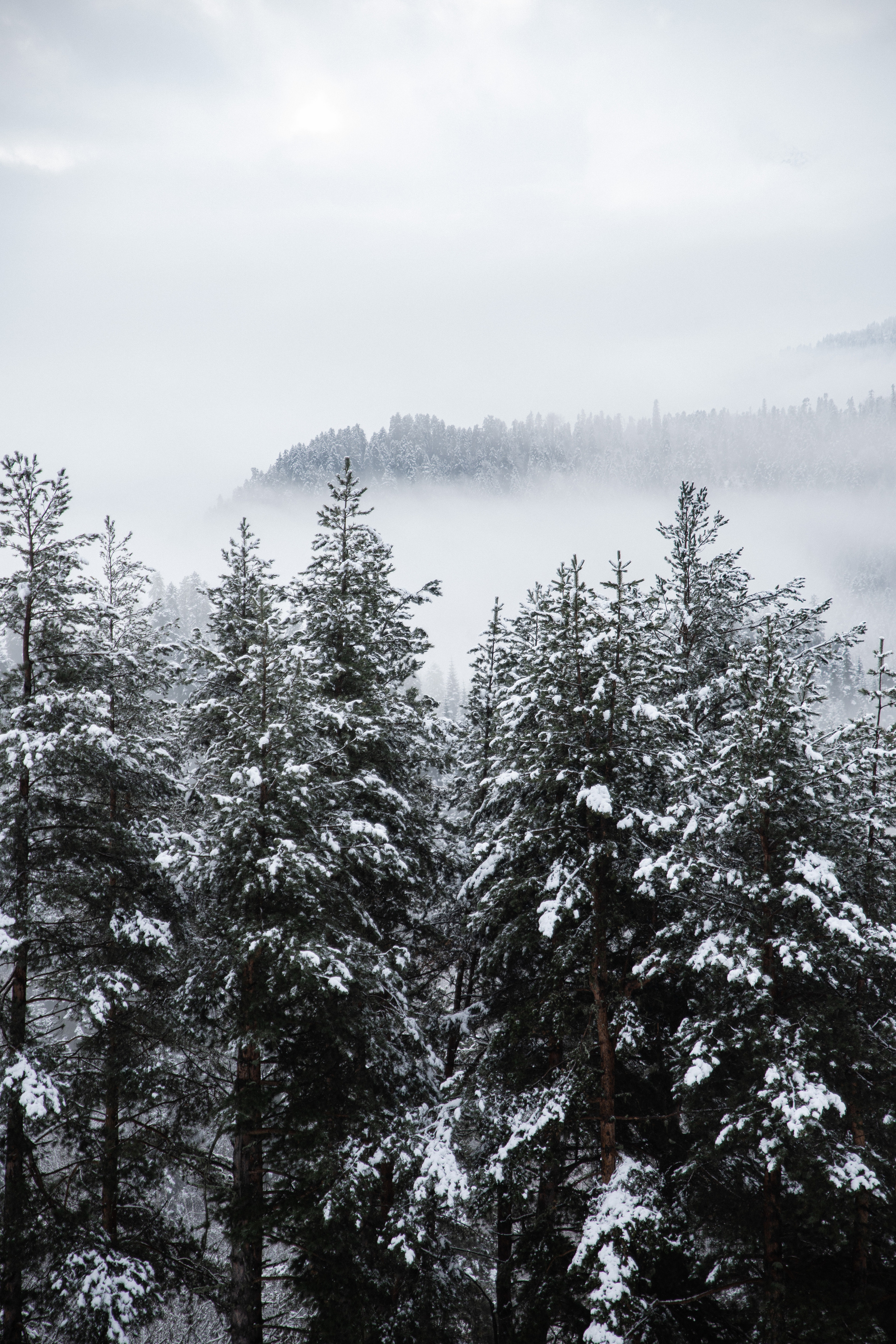 Открытки. Портретный фотограф Москва и Московская область