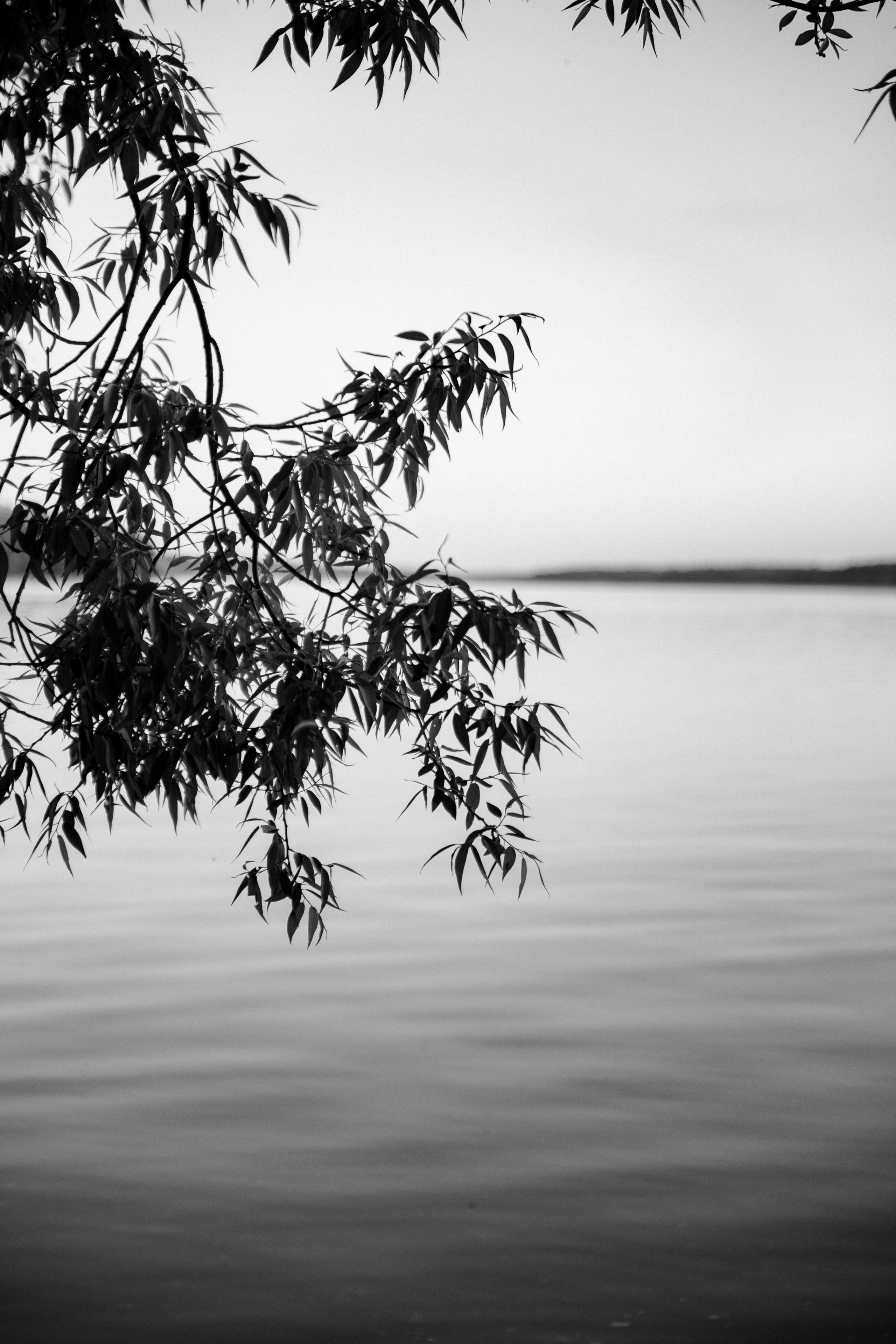 Открытки. Портретный фотограф Москва и Московская область