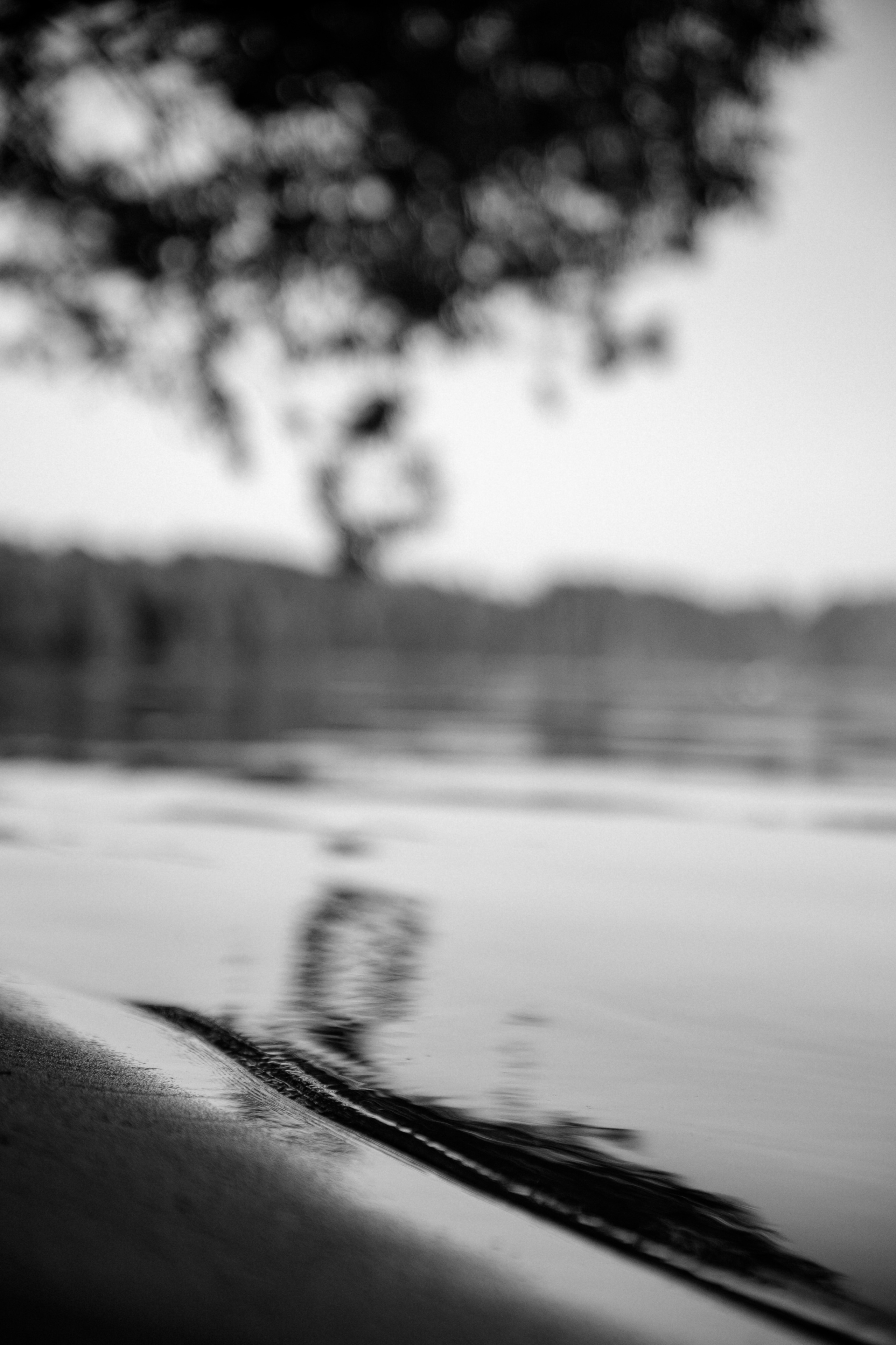 Открытки. Портретный фотограф Москва и Московская область