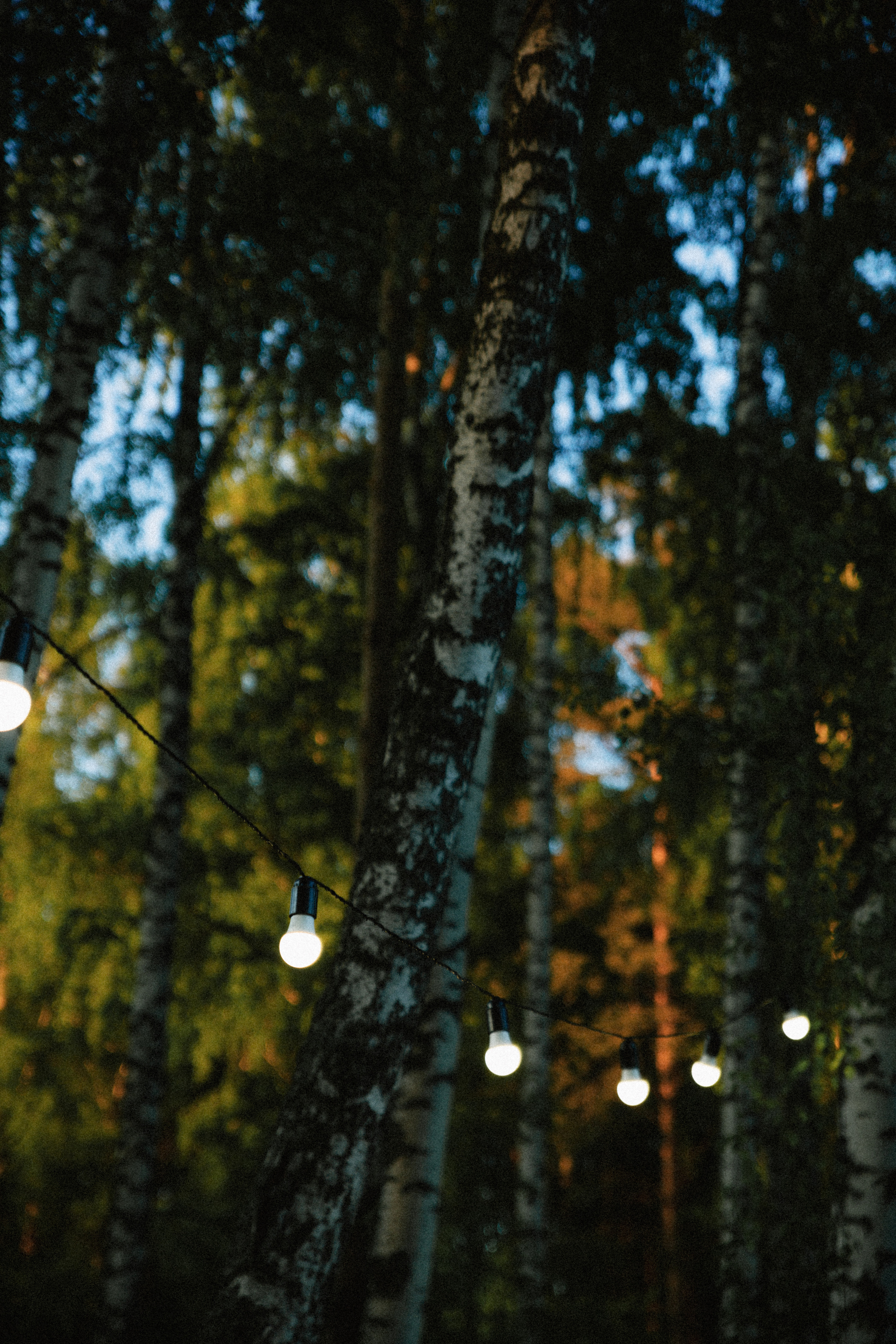 Открытки. Портретный фотограф Москва и Московская область