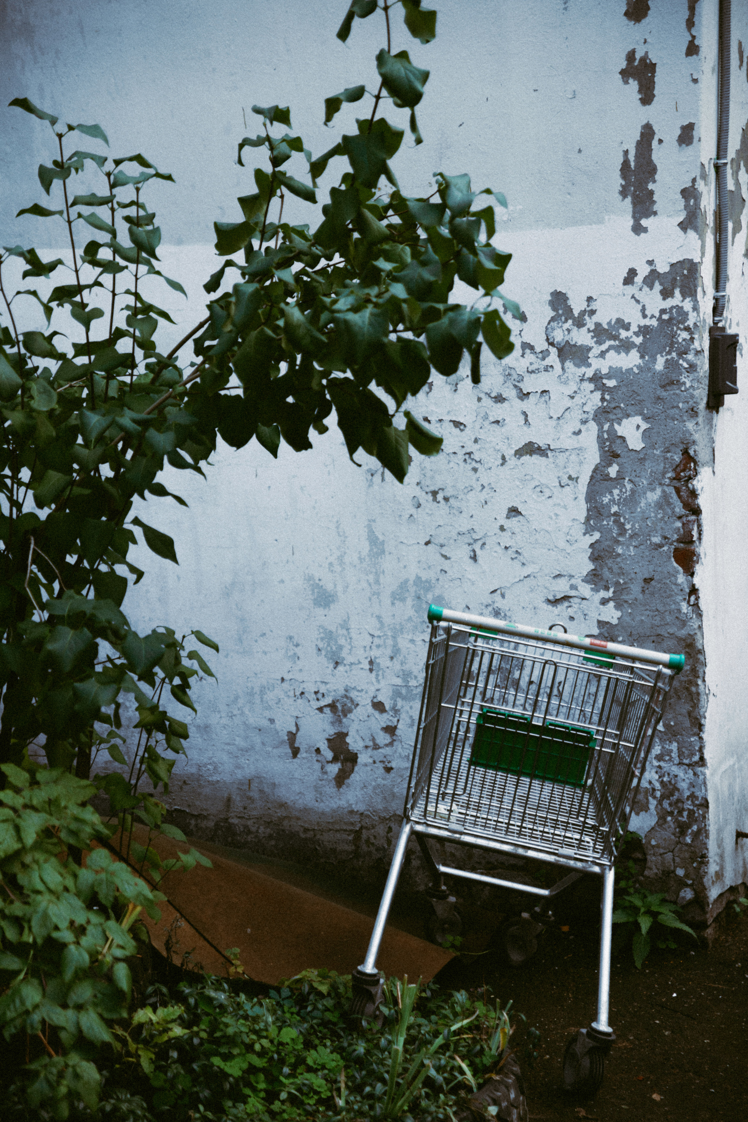 Открытки. Портретный фотограф Москва и Московская область