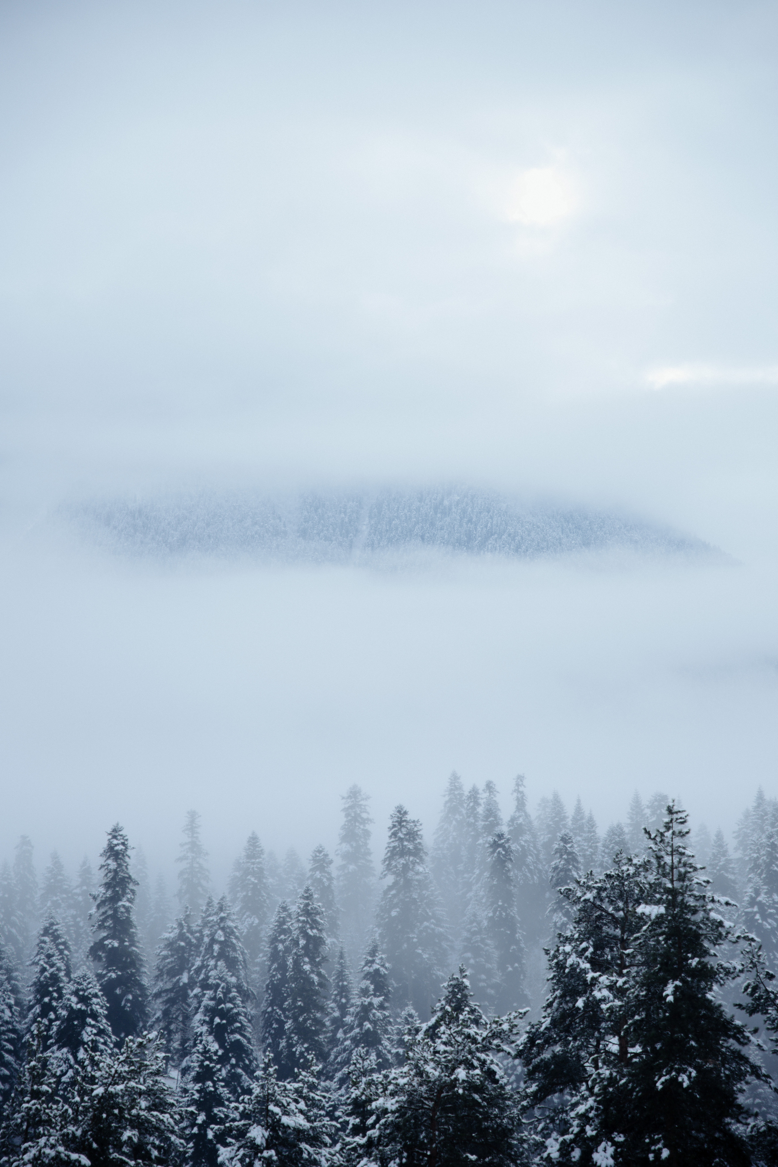 Открытки. Портретный фотограф Москва и Московская область