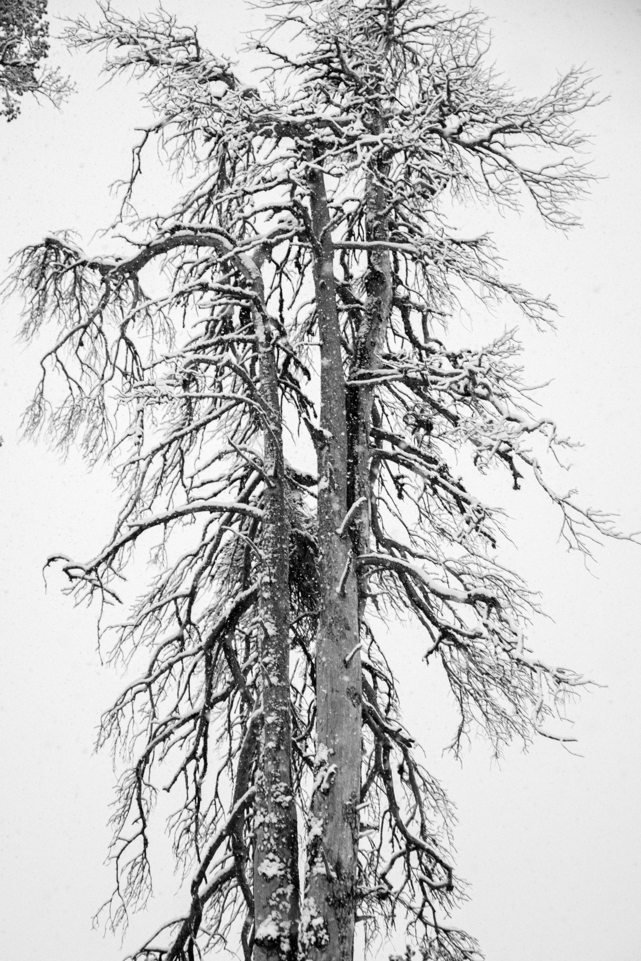 Открытки. Портретный фотограф Москва и Московская область