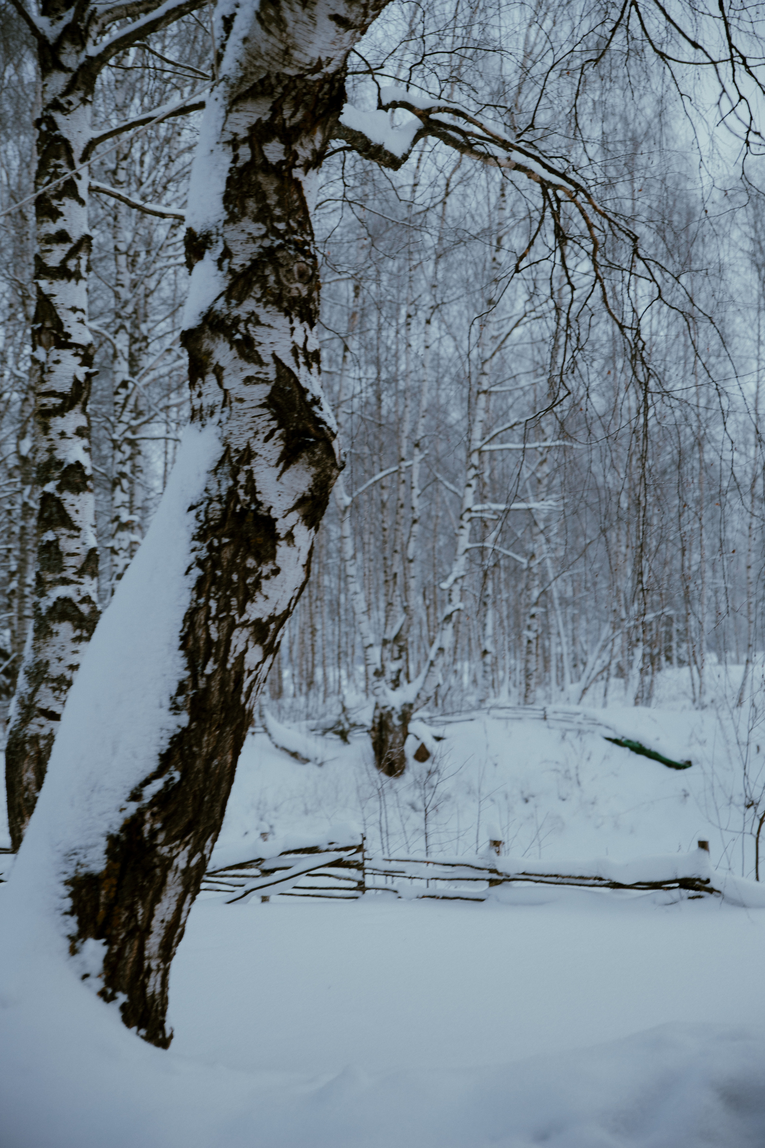 Открытки. Портретный фотограф Москва и Московская область