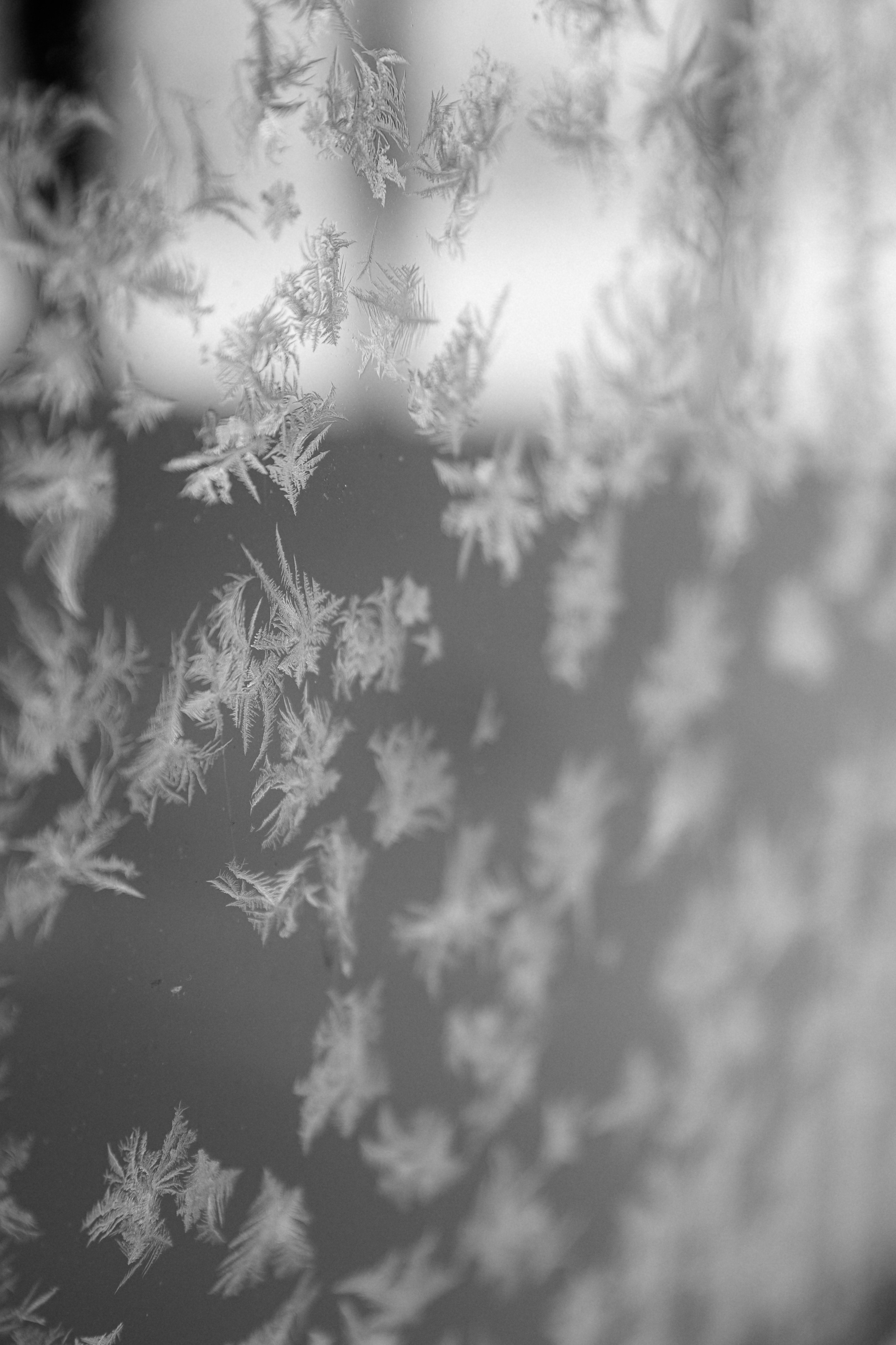 Открытки. Портретный фотограф Москва и Московская область