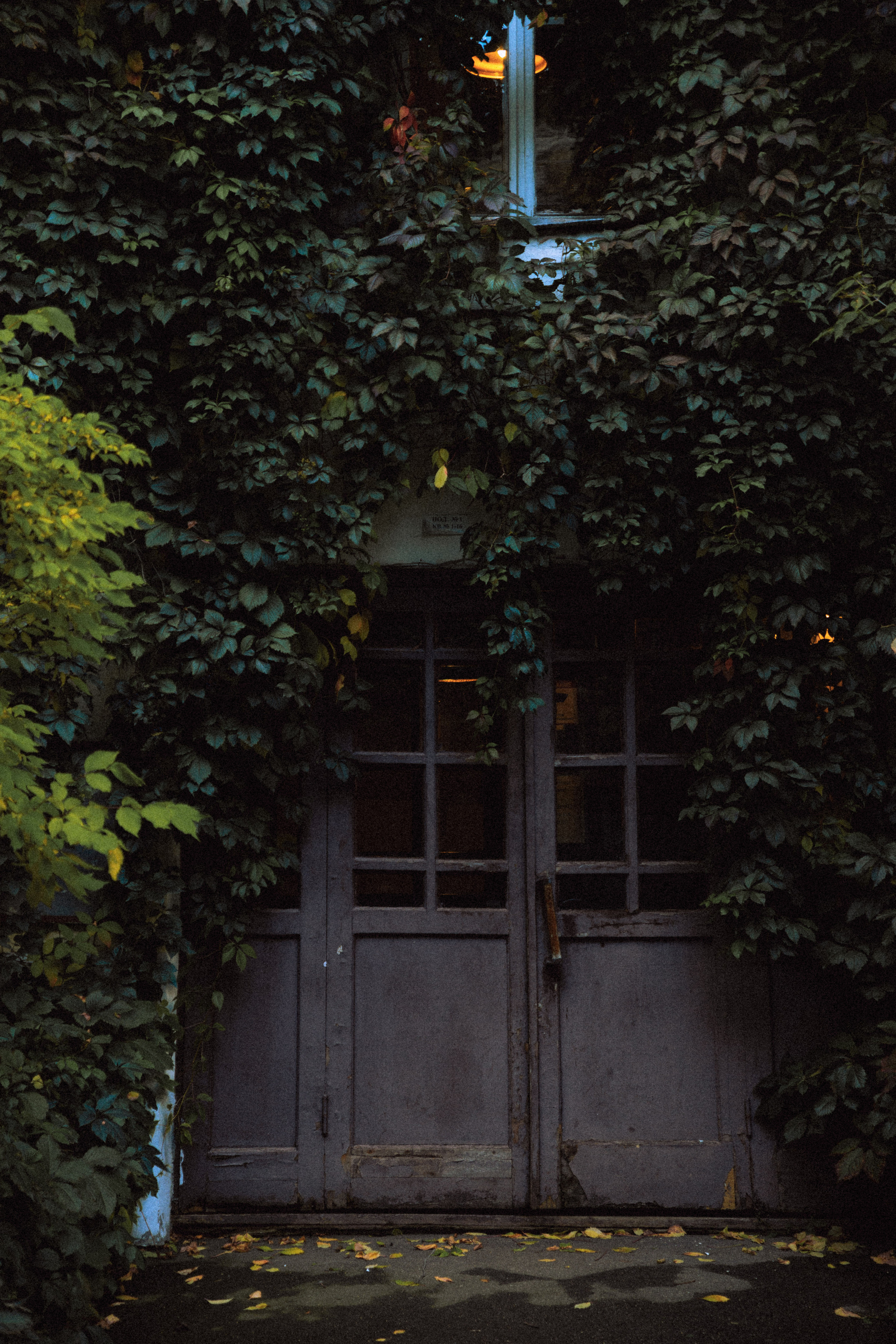 Открытки. Портретный фотограф Москва и Московская область