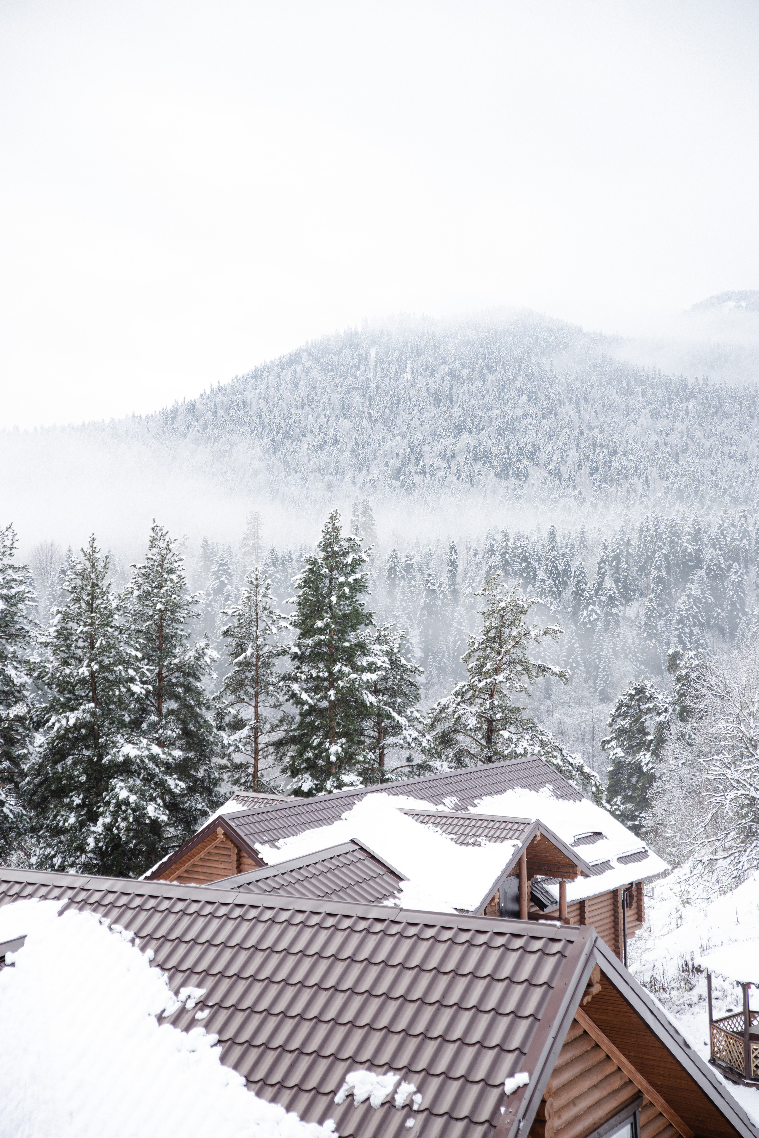Открытки. Портретный фотограф Москва и Московская область