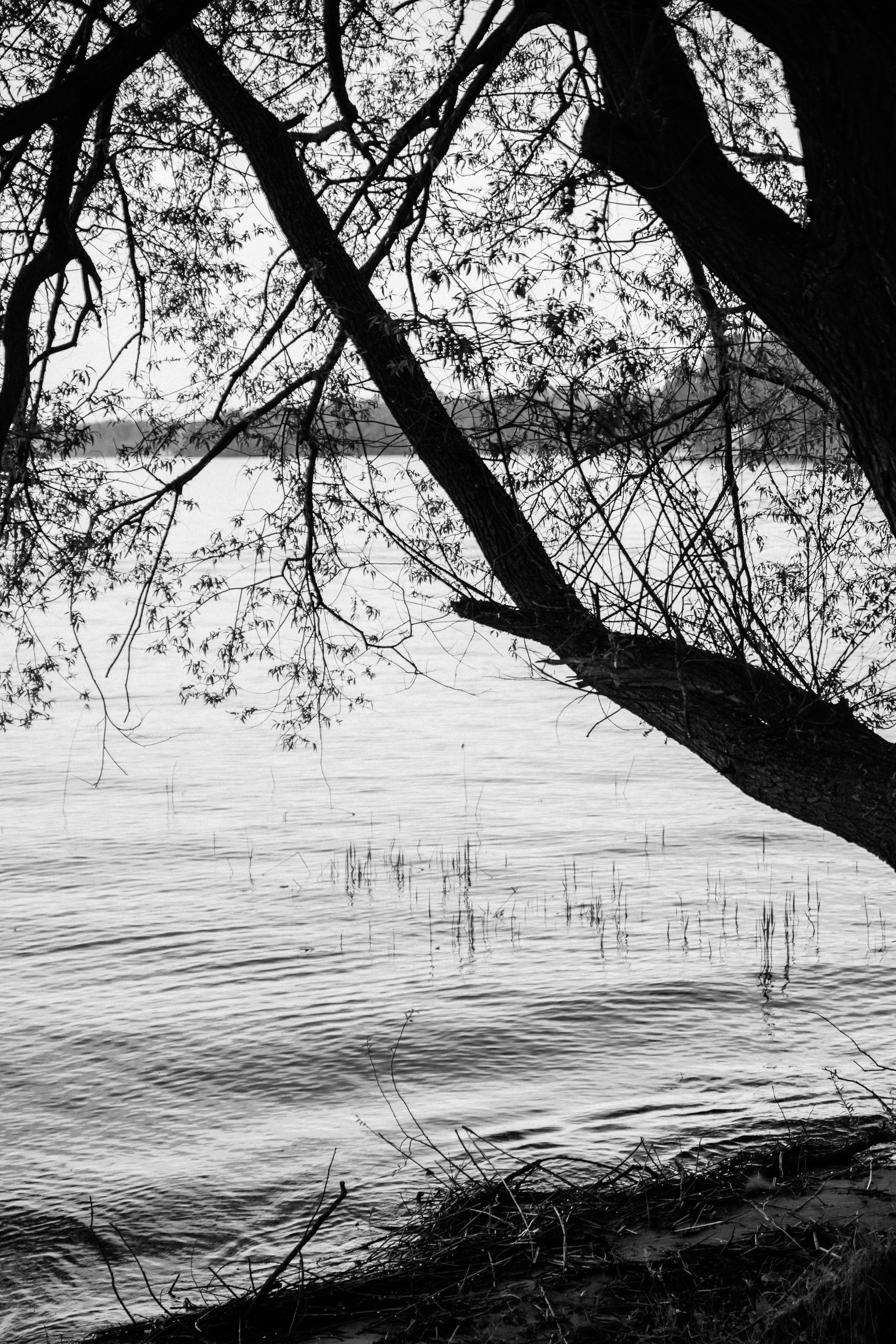Открытки. Портретный фотограф Москва и Московская область