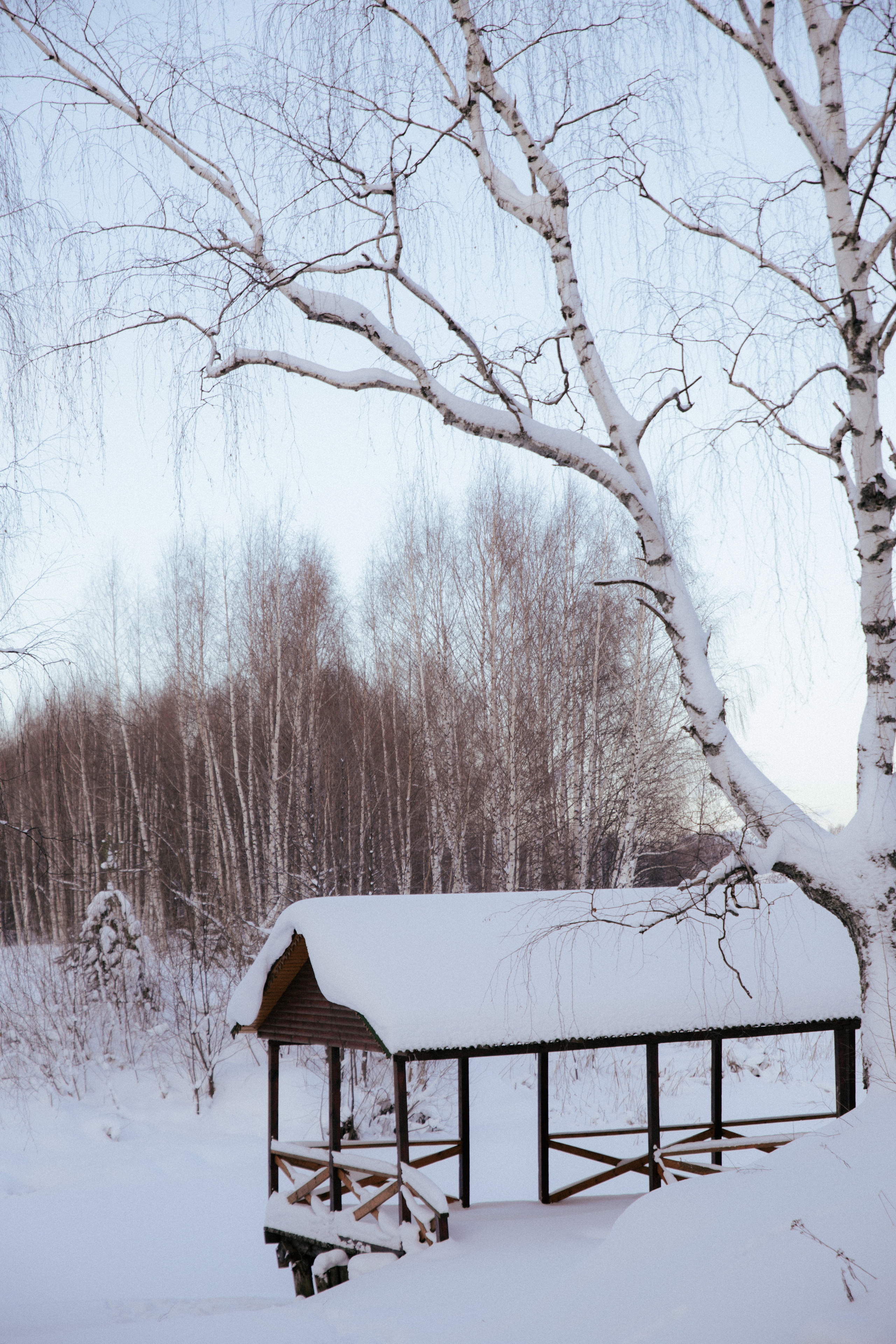 Открытки. Портретный фотограф Москва и Московская область
