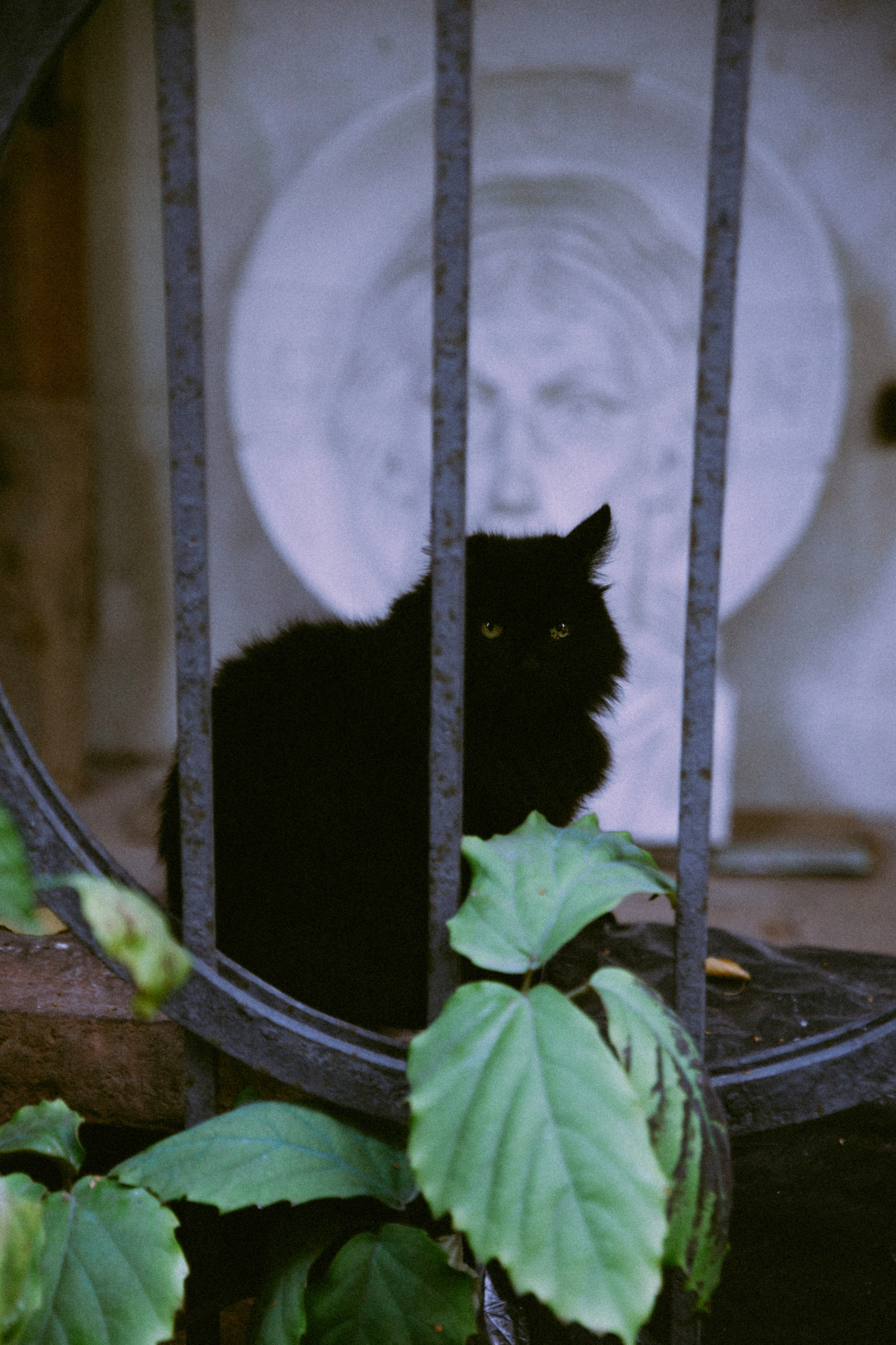 Открытки. Портретный фотограф Москва и Московская область