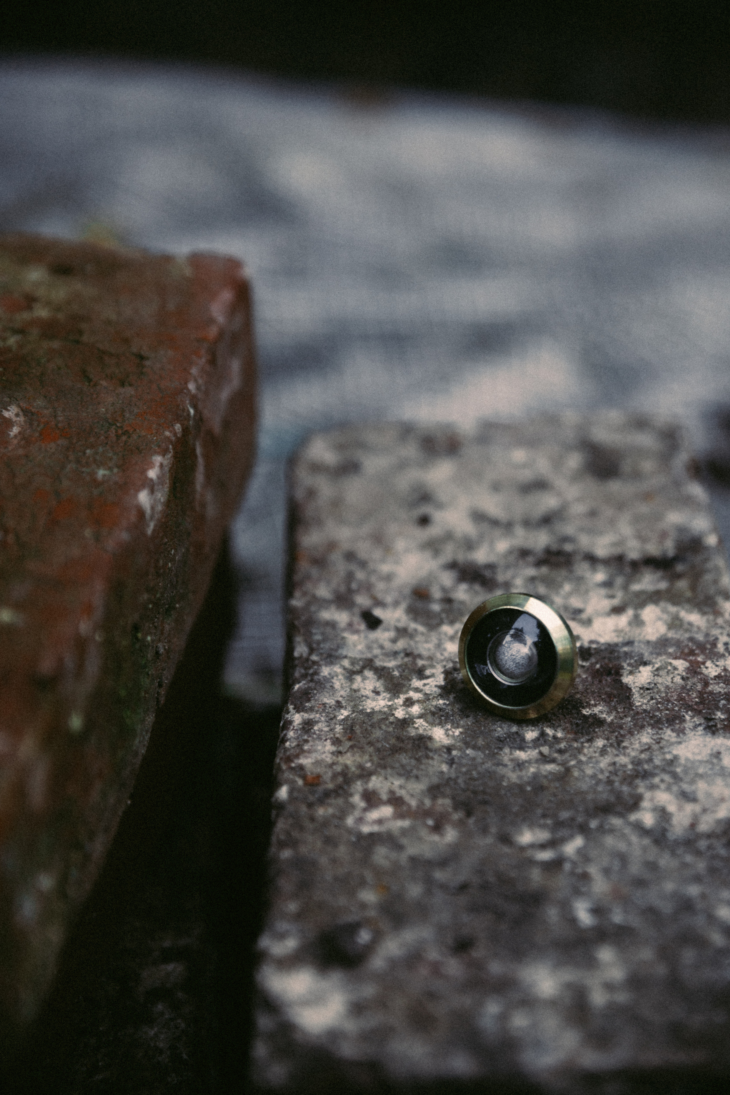 Открытки. Портретный фотограф Москва и Московская область