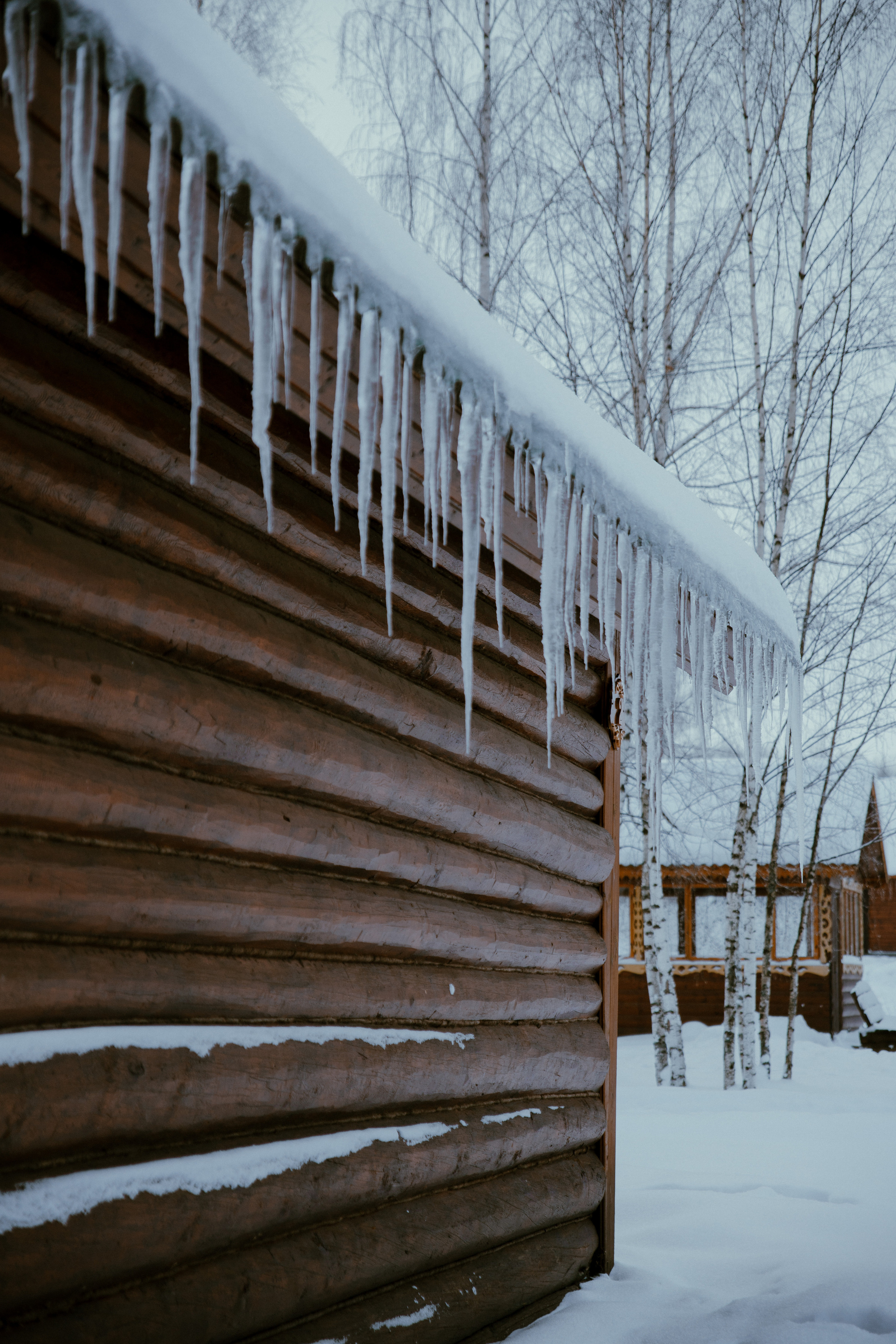 Открытки. Портретный фотограф Москва и Московская область