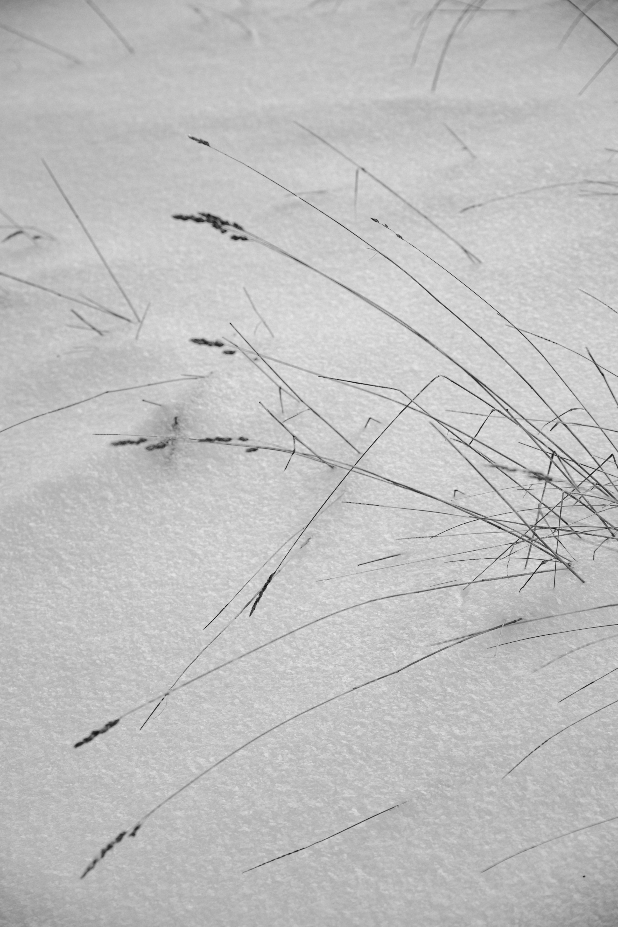 Открытки. Портретный фотограф Москва и Московская область