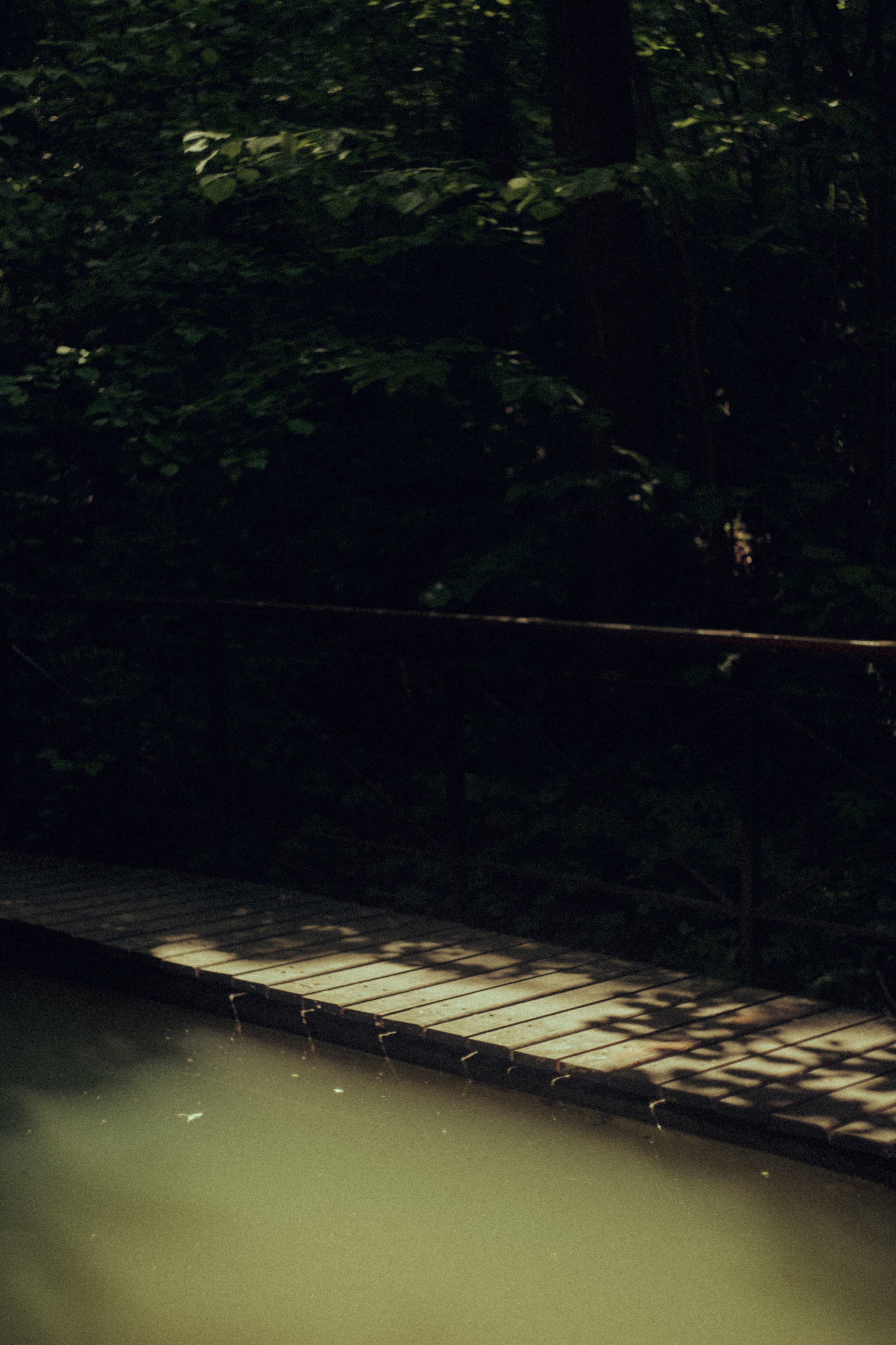 Открытки. Портретный фотограф Москва и Московская область