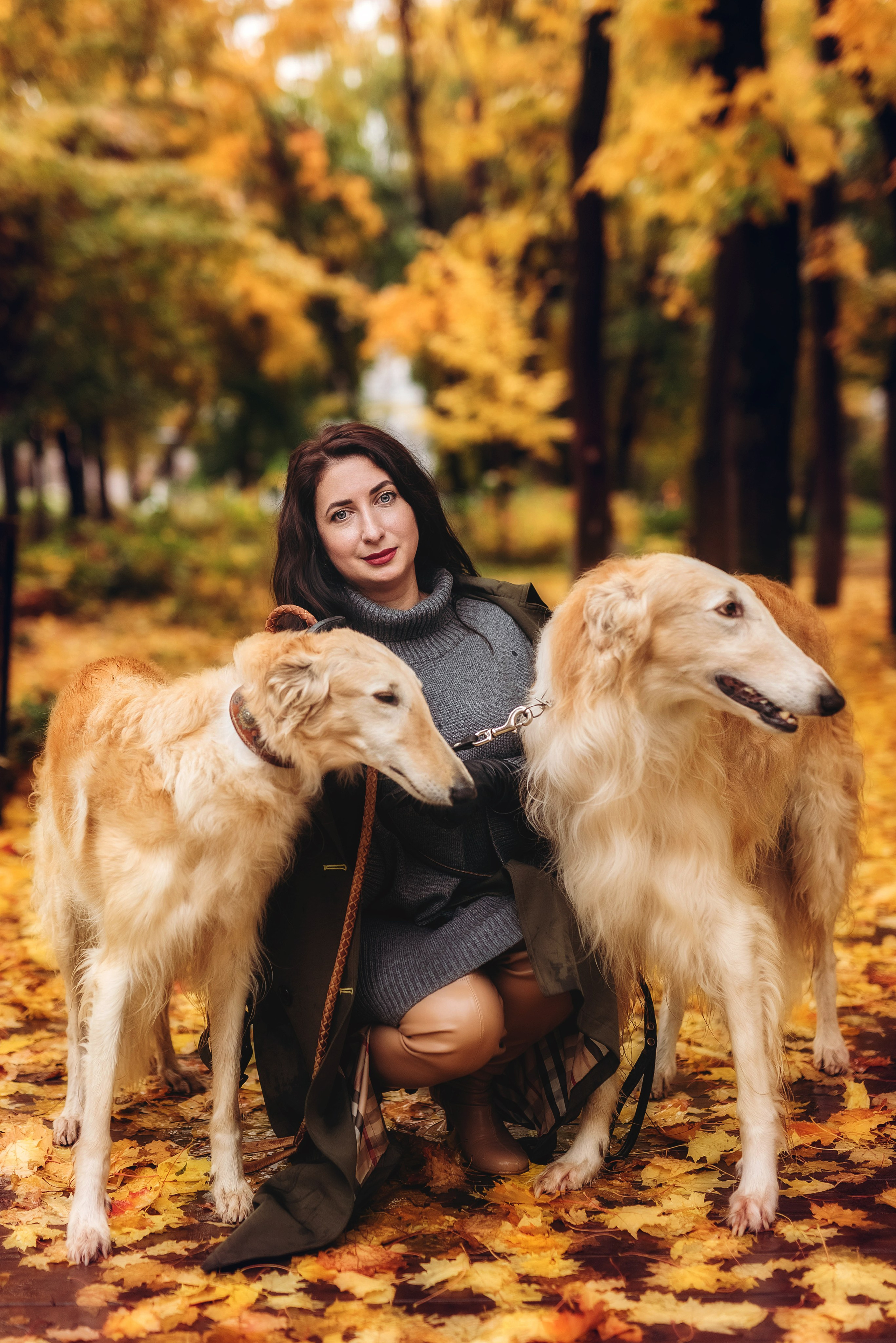 Фотосессия с борзыми. Семейный, детский фотограф в Воронеже Анна Никитина