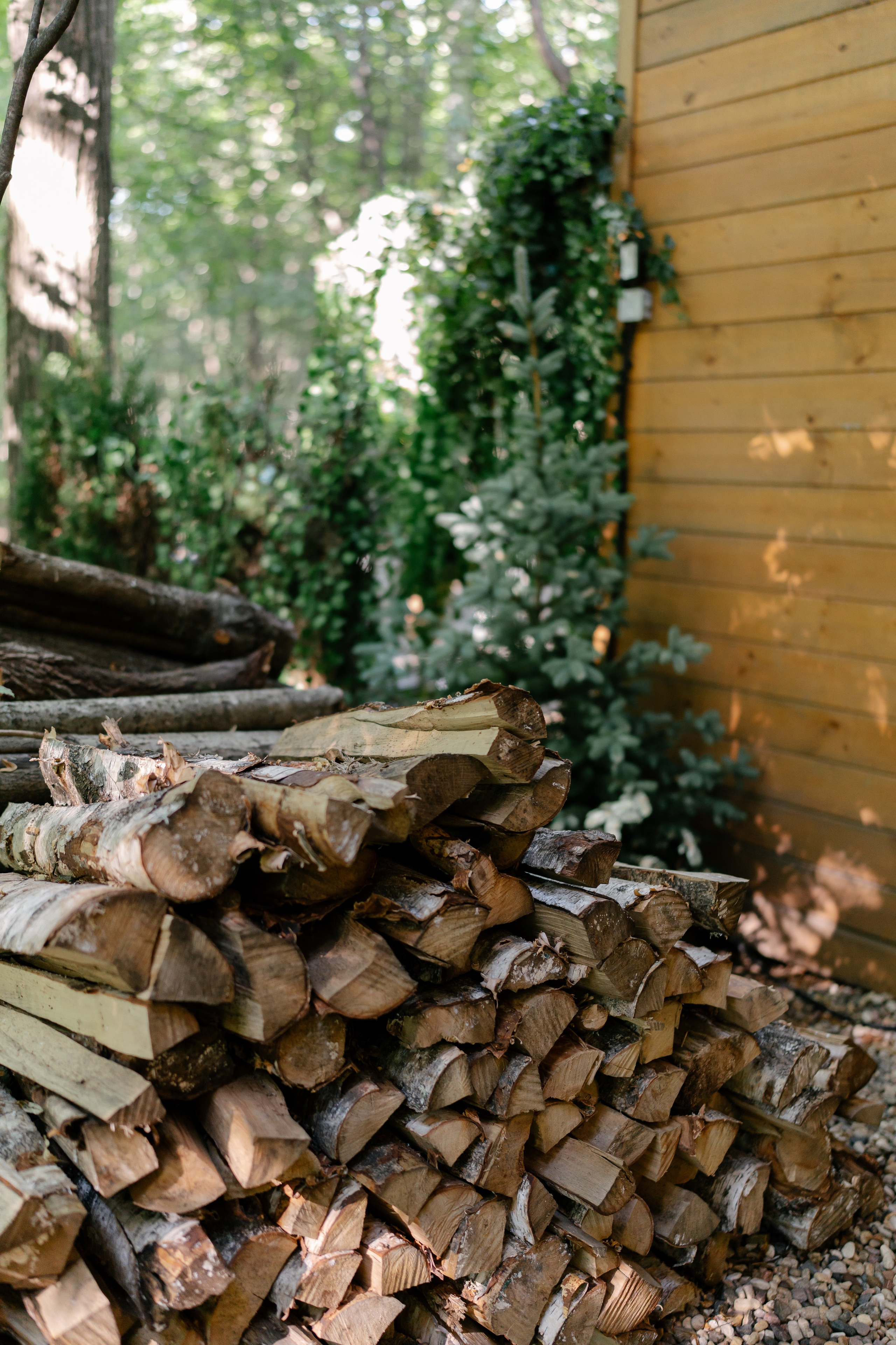 День рождения в ресторане «Fox». Семейный и свадебный фотограф в Красногорске Анастасия Тихонова