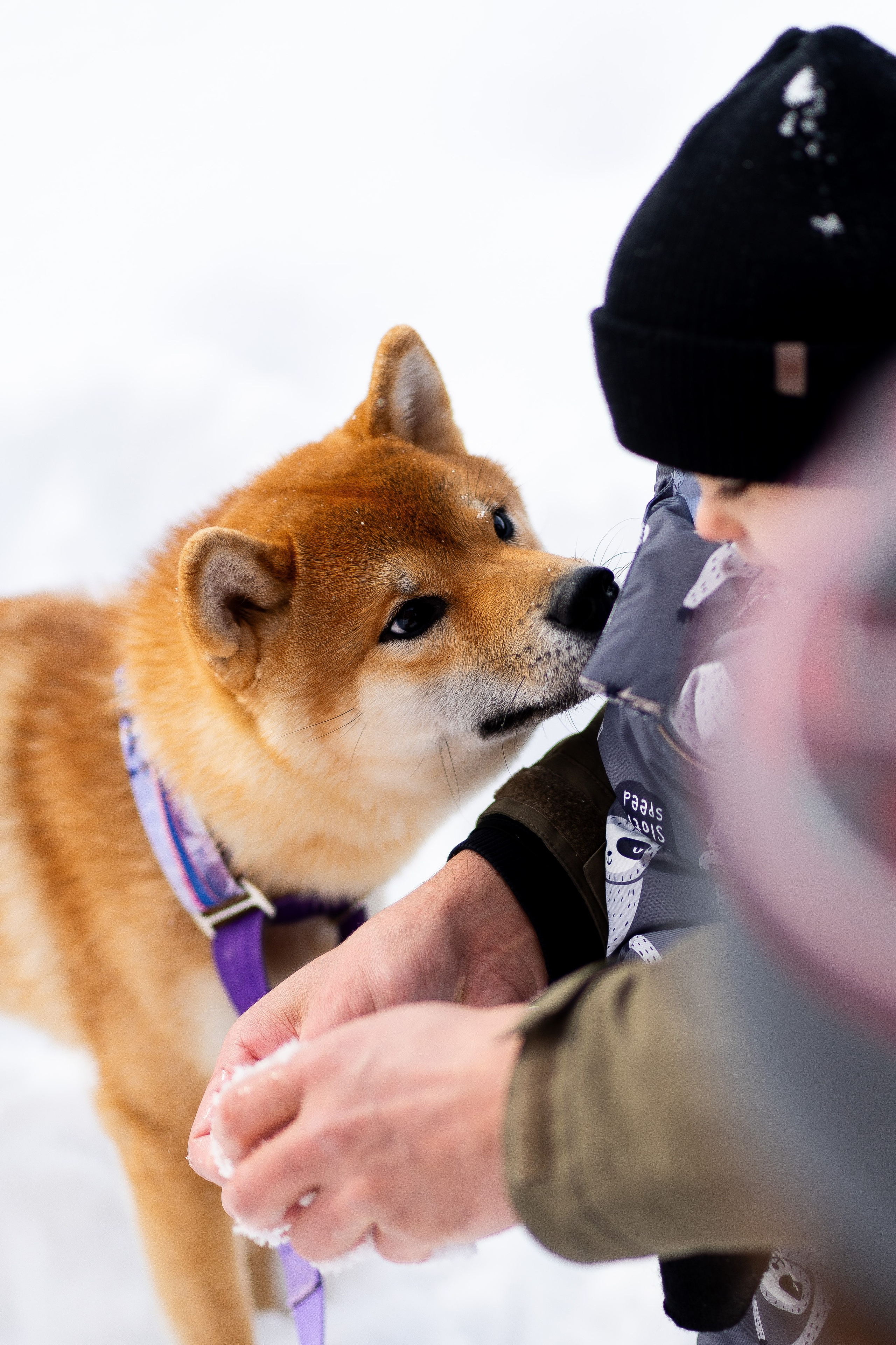 Соня&Лёня. Анастасия Паршукова — фотограф Шерегеш Новосибирск