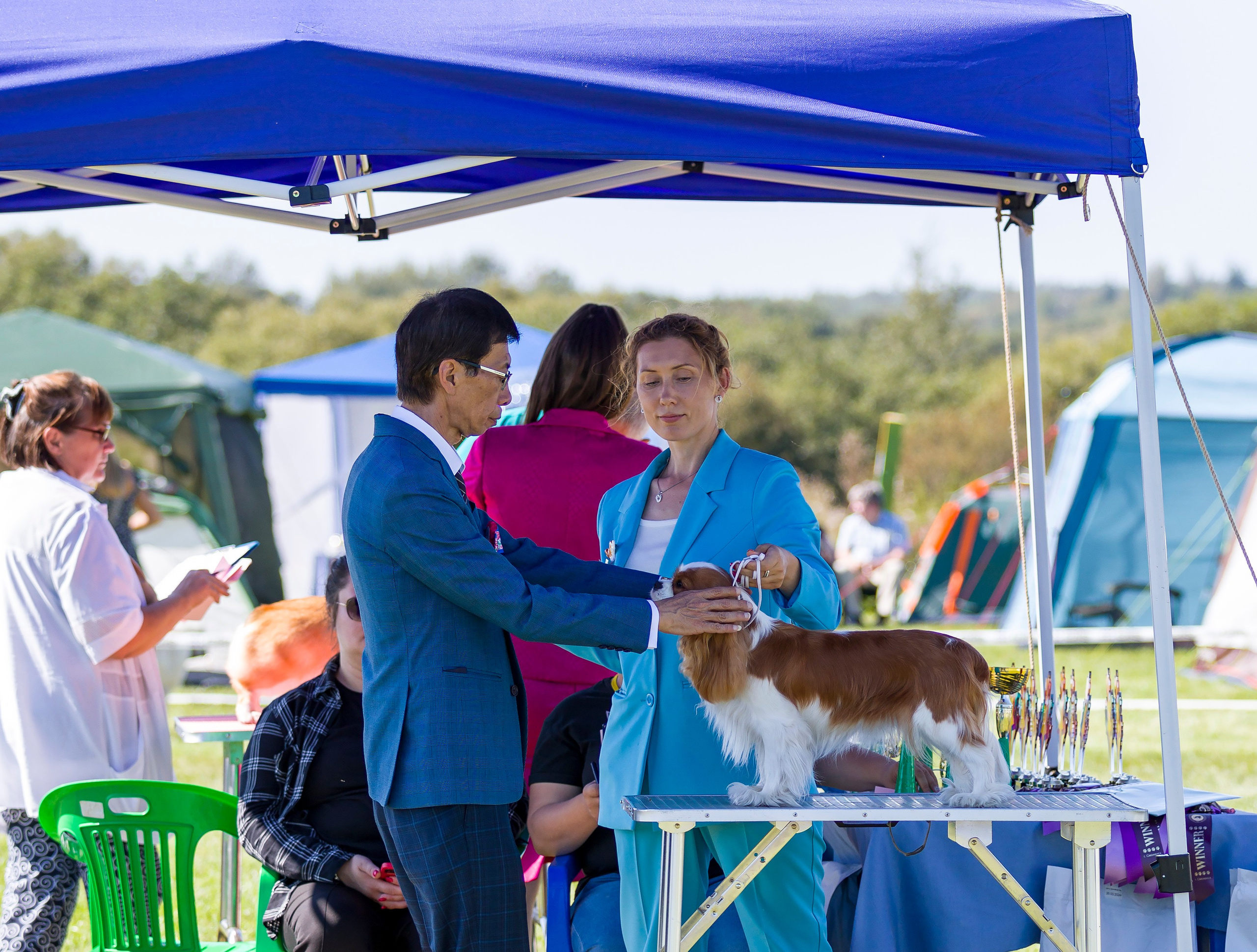 Выставки. Фотограф — анималист Татьяна Ли