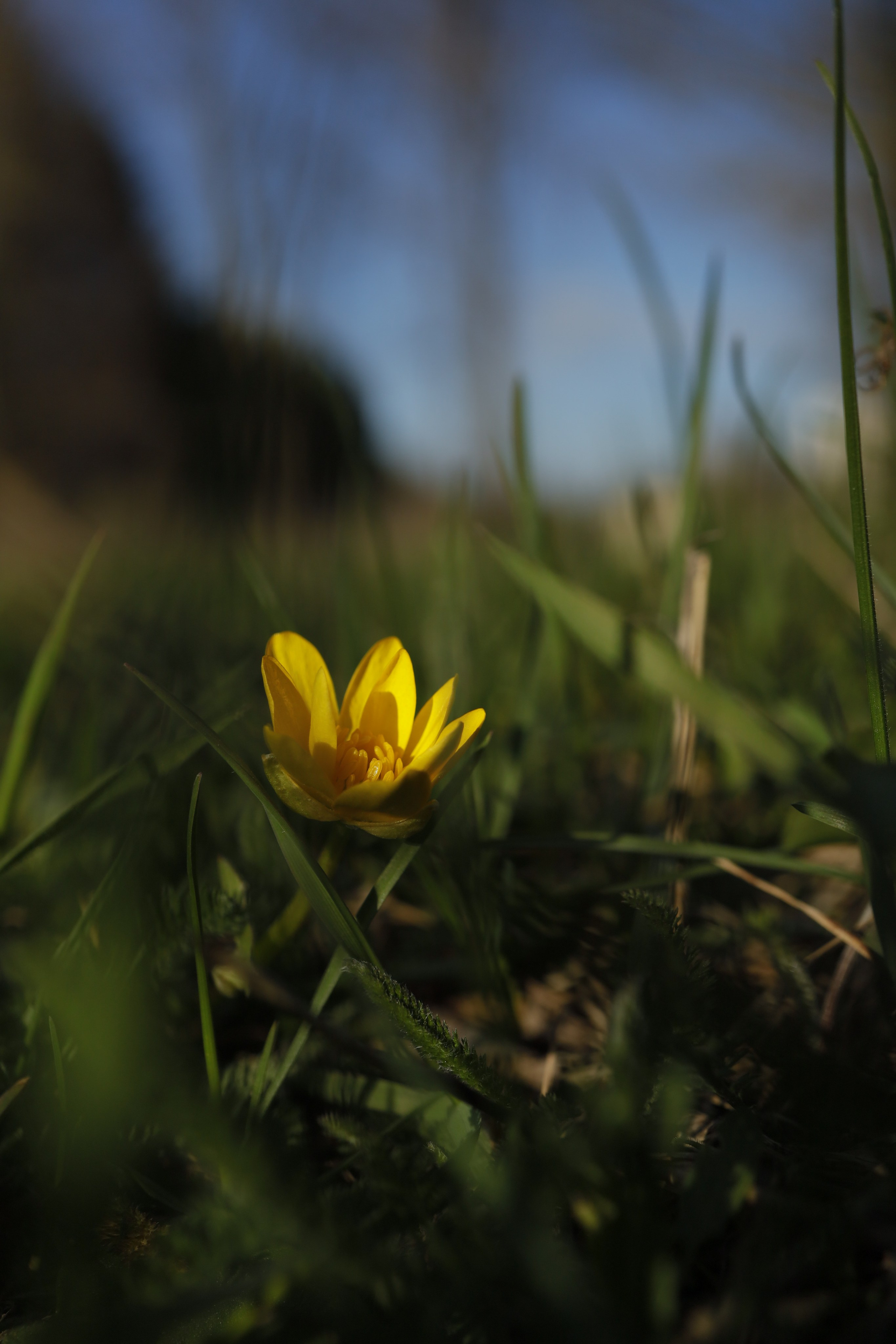 Семейный и детский фотограф Майя Гришина