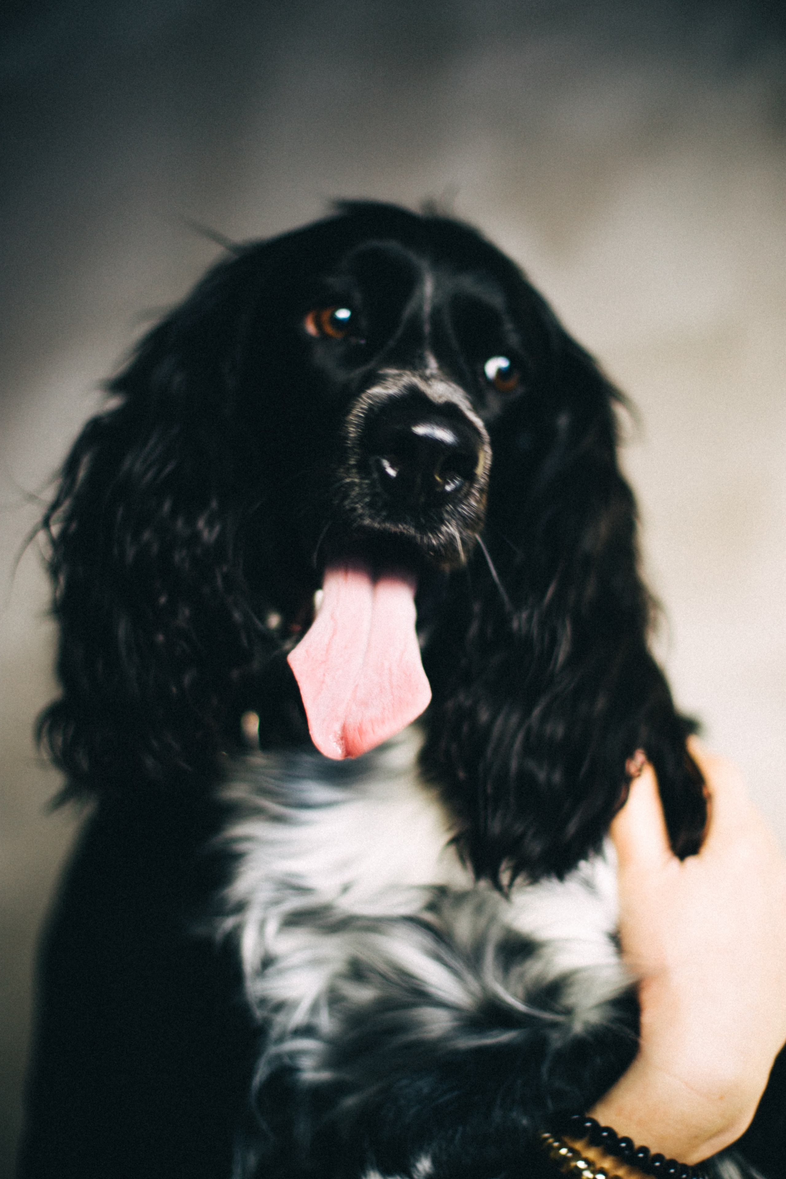 Марина и Сэм. Фотограф в Нижнем Новгороде