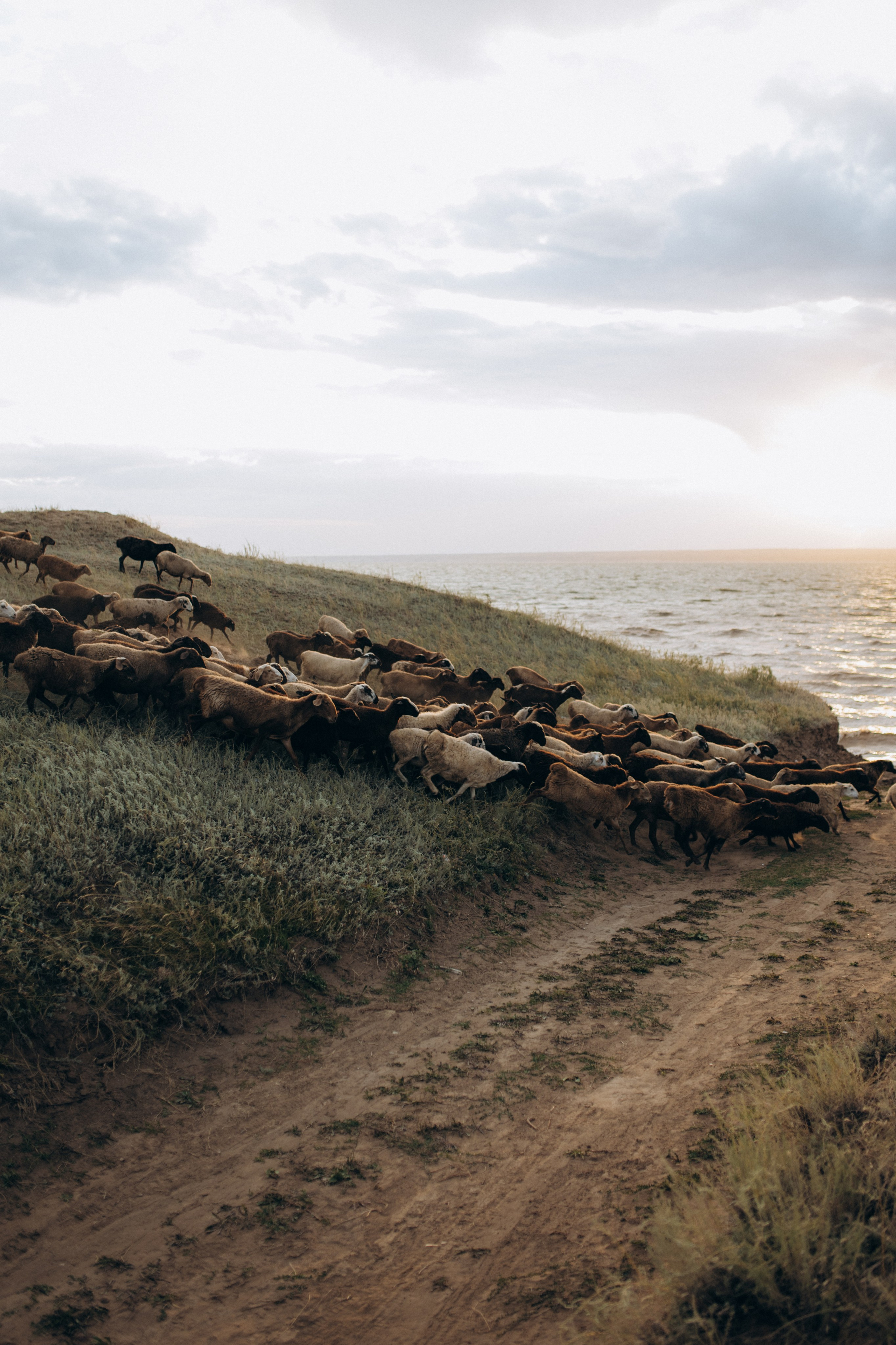 Наташа, Степа, Василиса, Лера. Www.ostermiller.ru