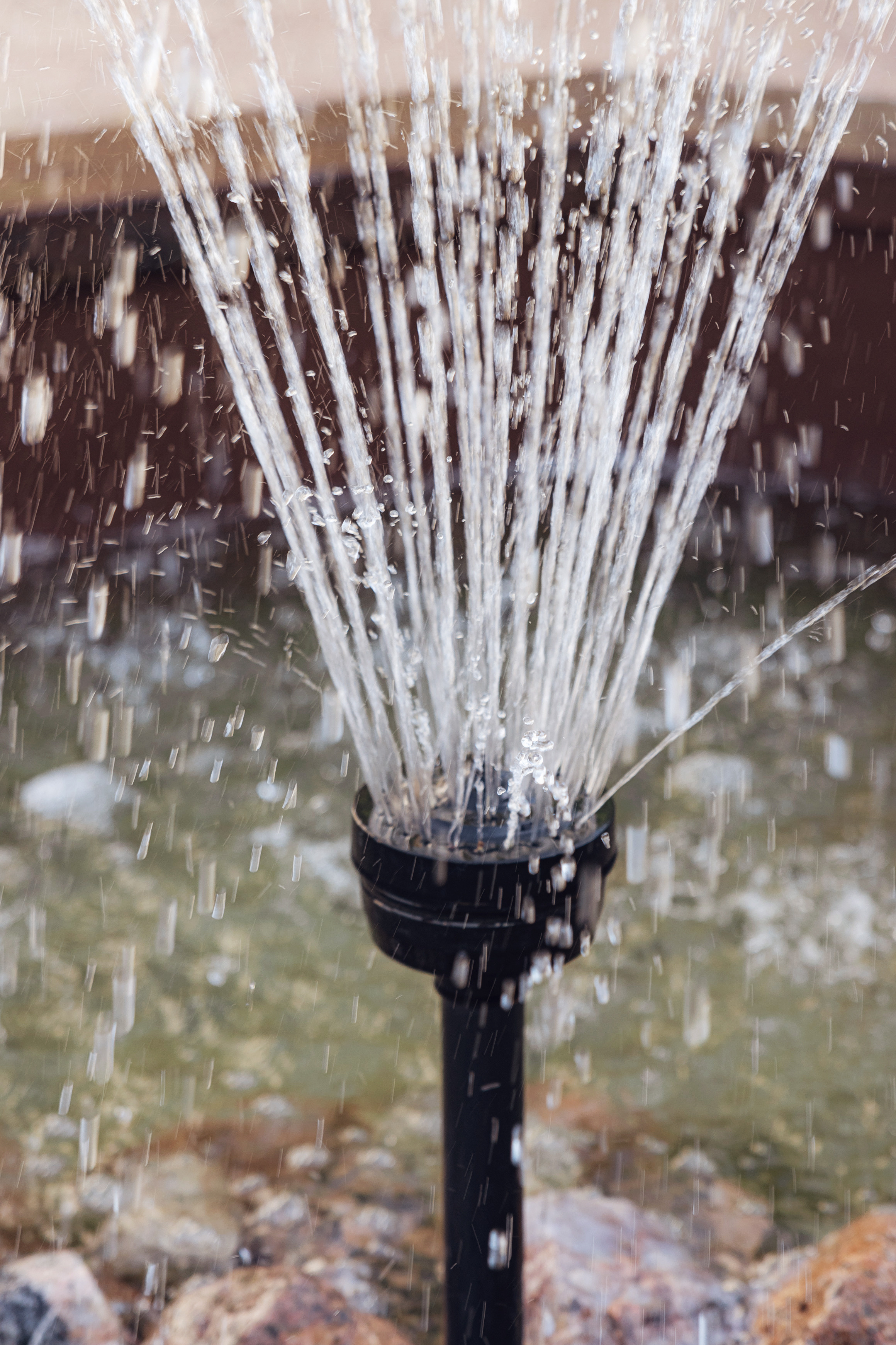 Свадебная фотосъёмка. Артур и Елена. 21.06.2021. Свадебный фотограф и видеограф — Сергей и Дарья