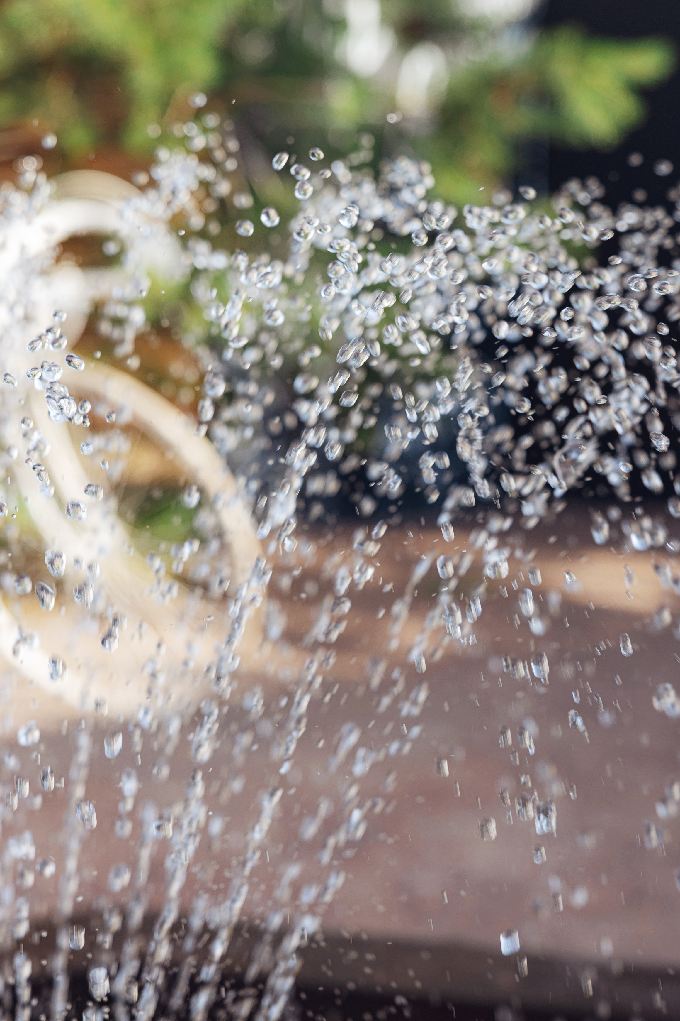 Свадебная фотосъёмка. Артур и Елена. 21.06.2021. Свадебный фотограф и видеограф — Сергей и Дарья