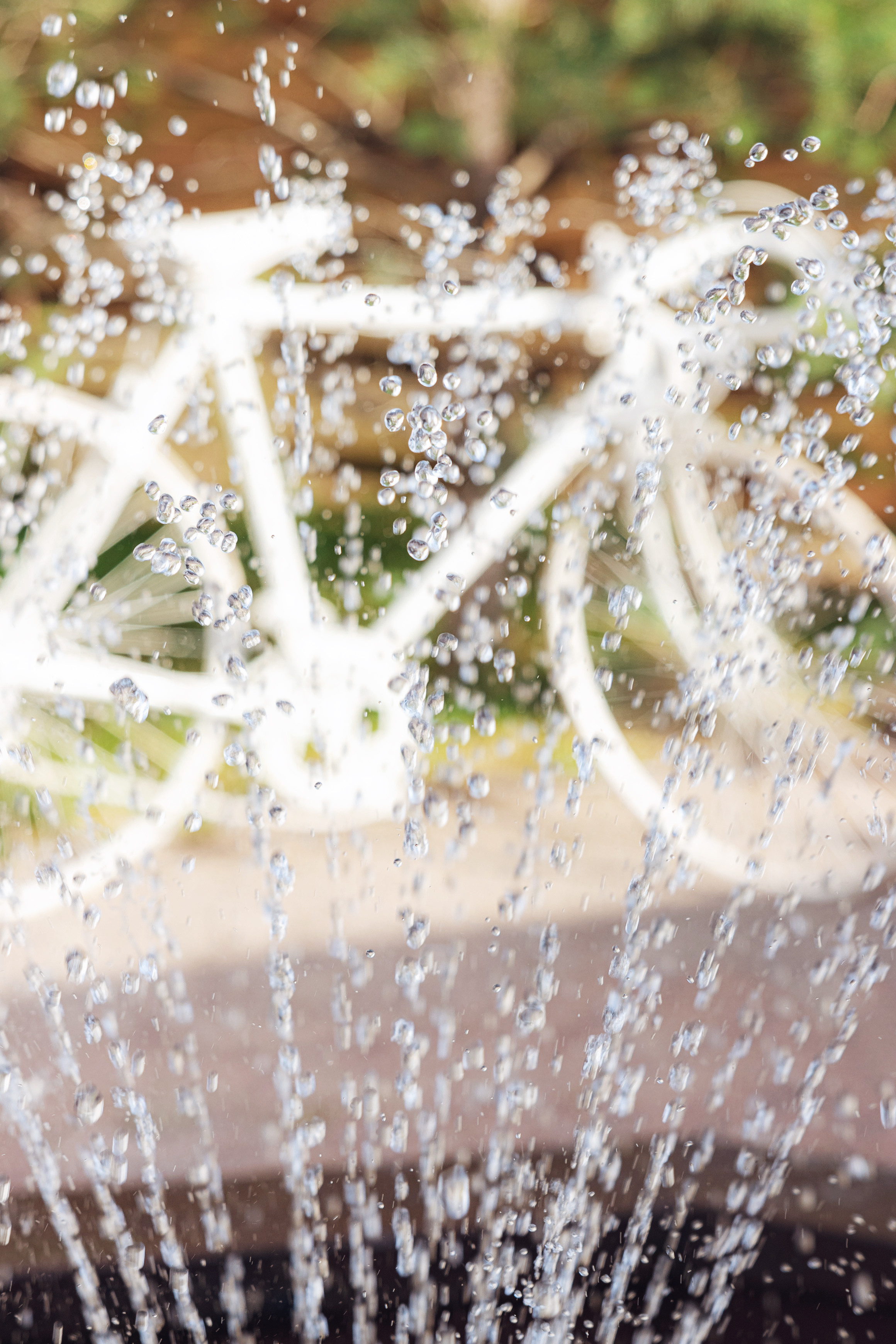 Свадебная фотосъёмка. Артур и Елена. 21.06.2021. Свадебный фотограф и видеограф — Сергей и Дарья