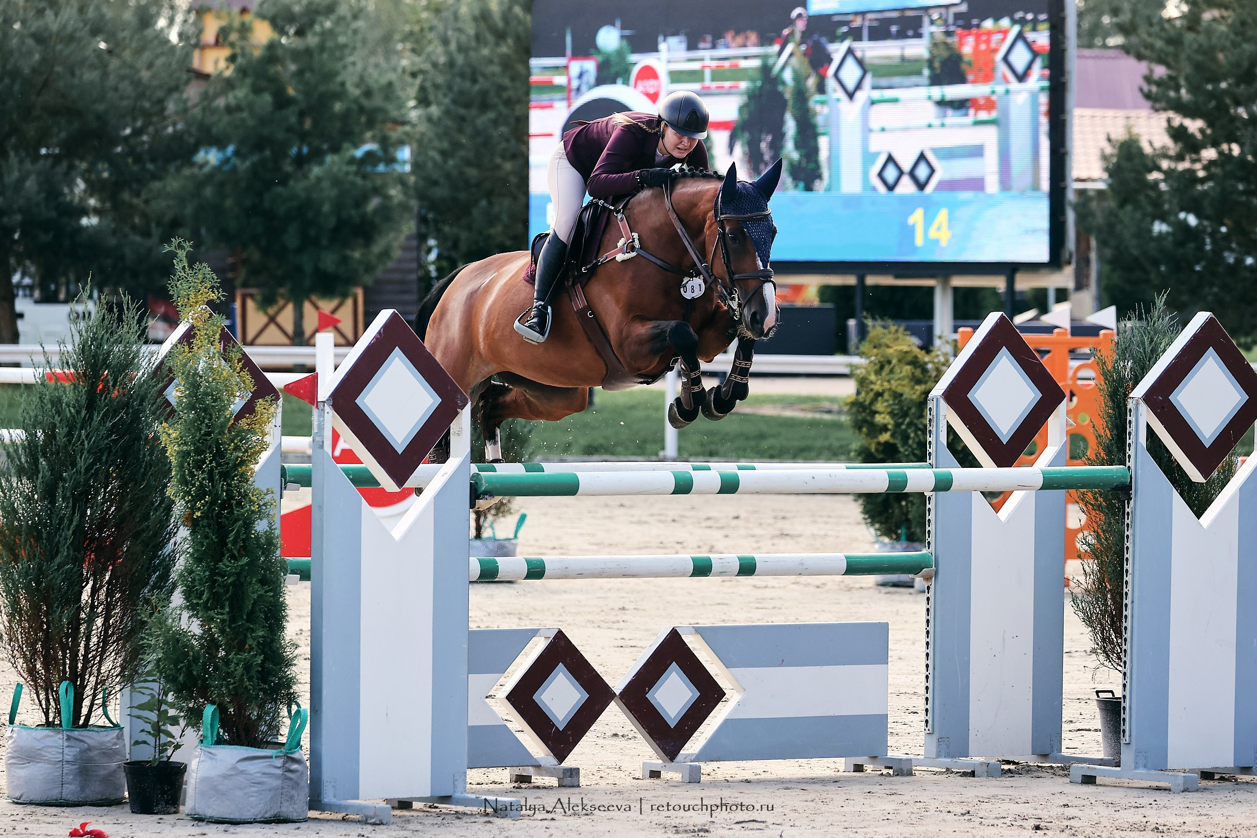 Лично-Командное Первенство России по конкуру, КСК Конаковские конюшни | 08'2023. Репортажный фотограф и ретушер в Москве Наталья Алексеева