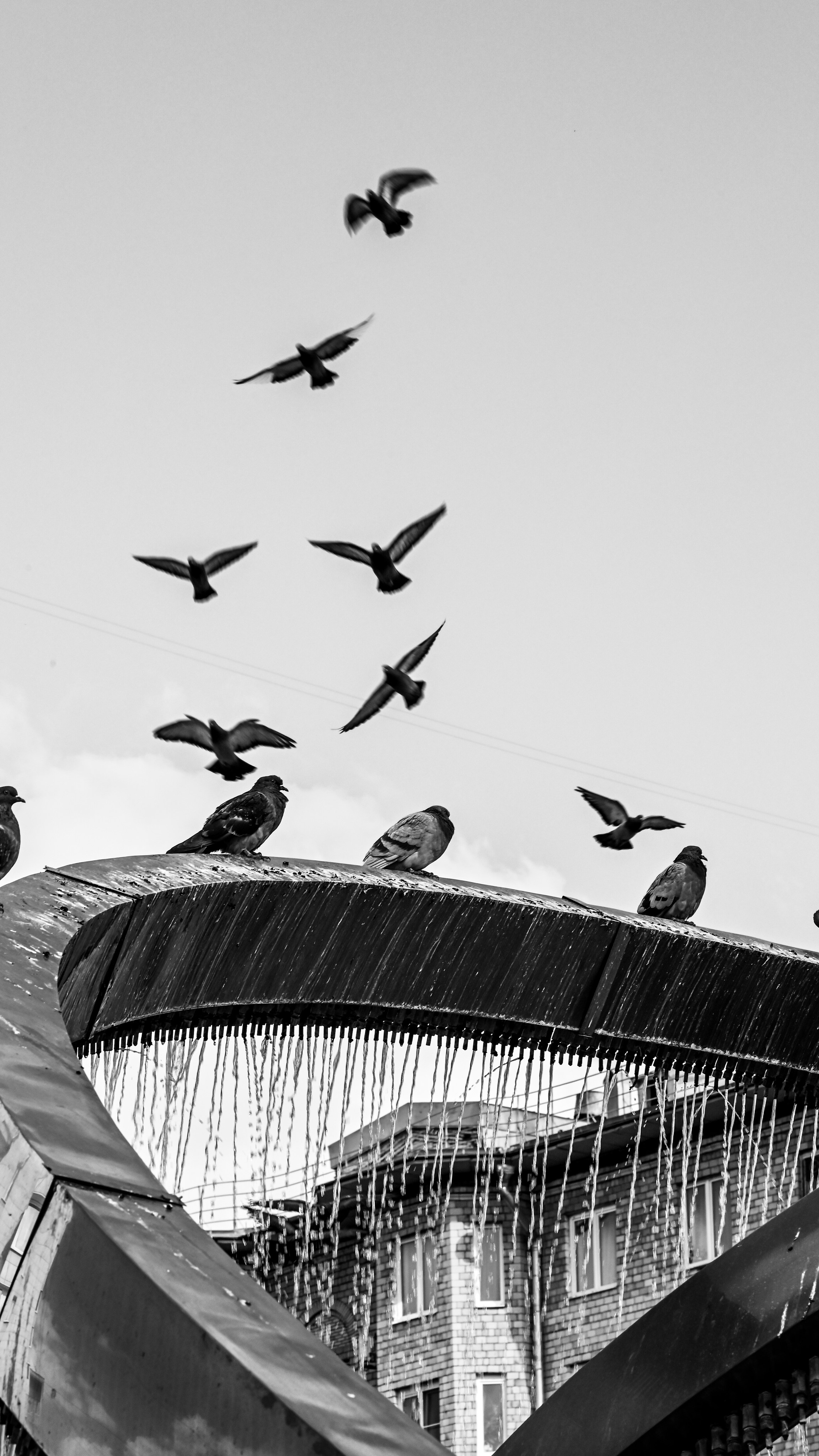 Стрит фото Москва. Фотограф Лобанов Антон, г. Москва