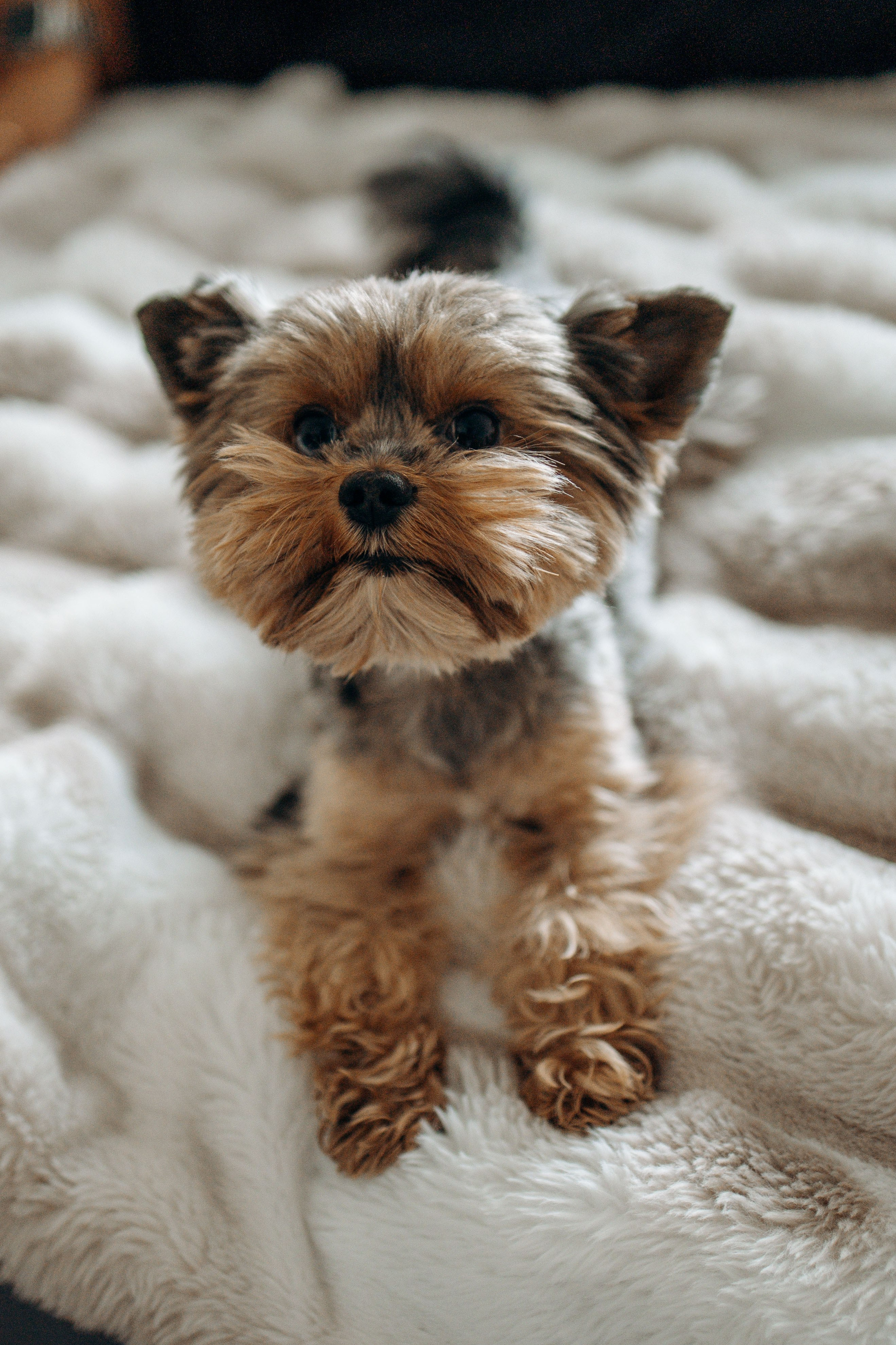 Настя и Йося