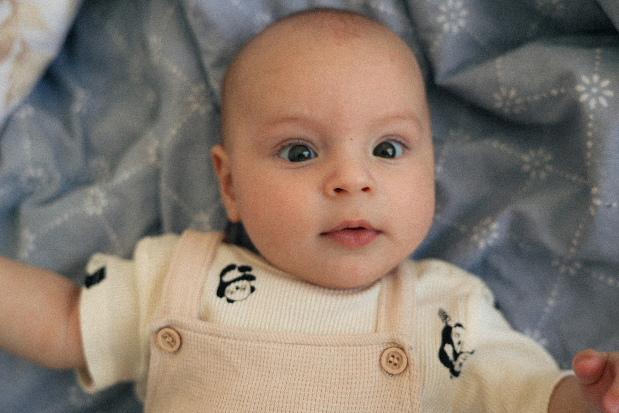 Соня Ваня и Андрей. Фотограф НатаФото (Наталья Яковенко) Дмитров Москва Питер