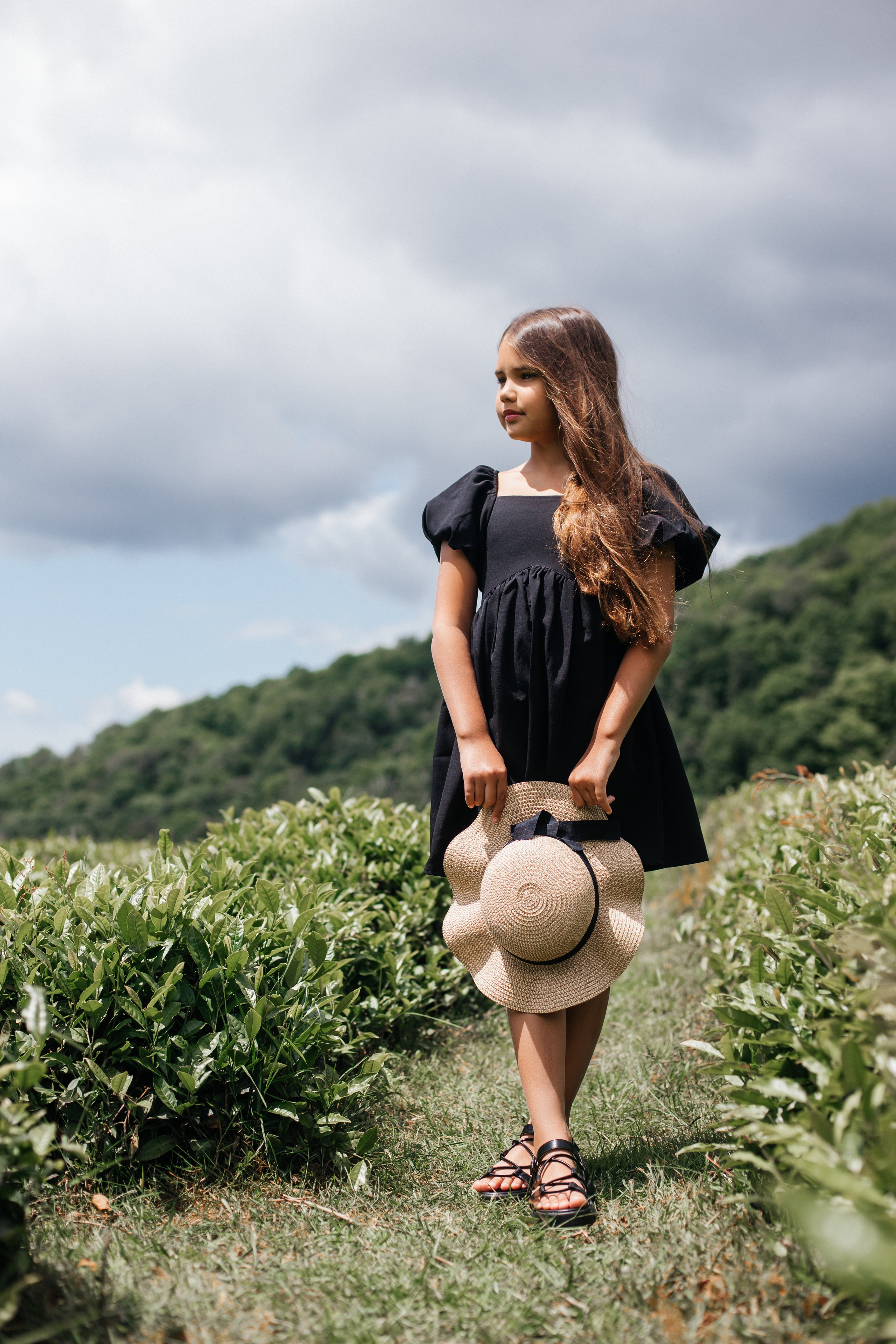 Tea plantation. Efimova Model Agency